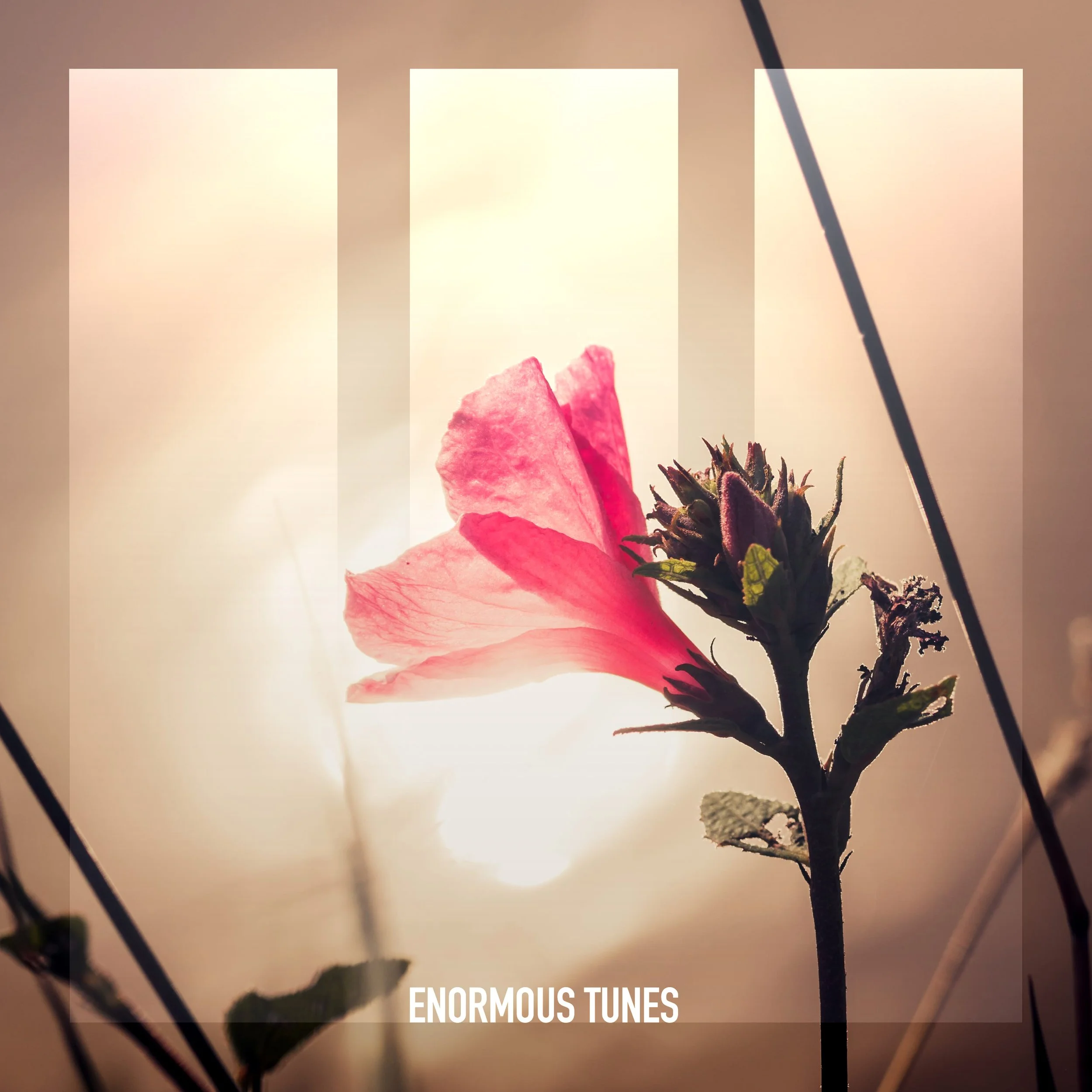 AMONITA RETURNS TO ENORMOUS TUNES WITH ‘NEON LIGHT’ EP