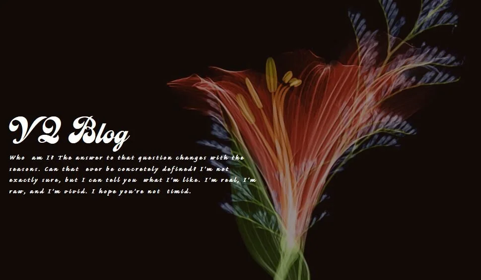 VQ Blog New.JPG