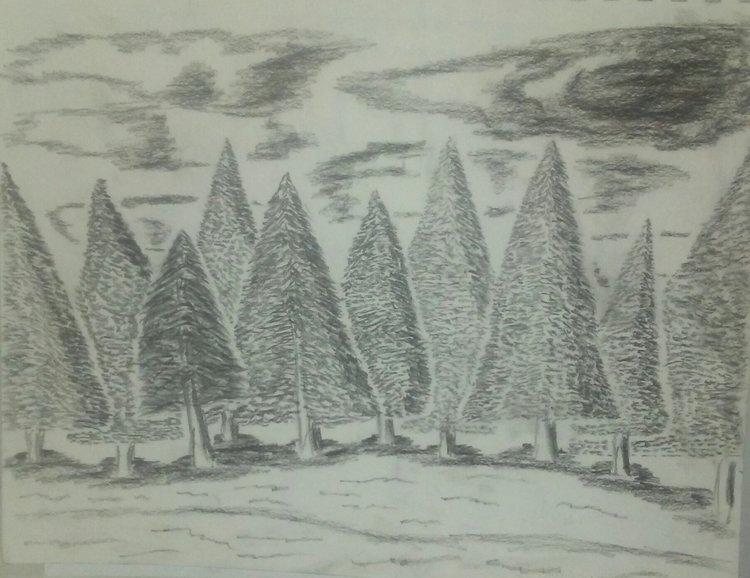 sketch,+woods,+sky,+forest,+pine+trees,+black+and+white,+pencil+sketch.jpg