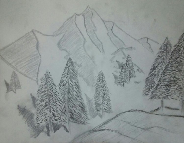 snow,+sketch,+mountain,+hills,+pine+trees,+shadows,+black+and+white,+pencil+sketch,.jpg