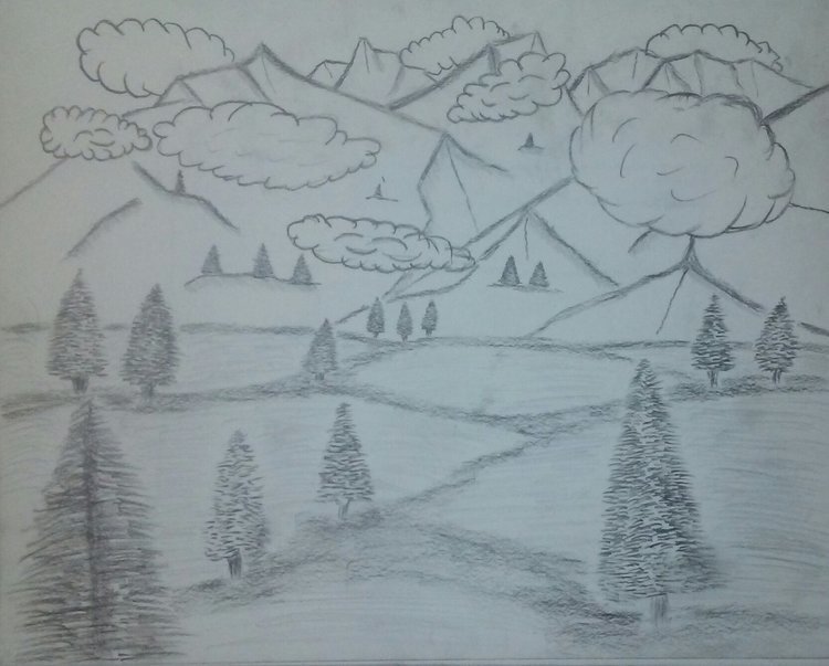 pencil+sketch,+black+and+white,+pine+trees,+woods,+clouds,+hills,+mountains,+sky,.jpg