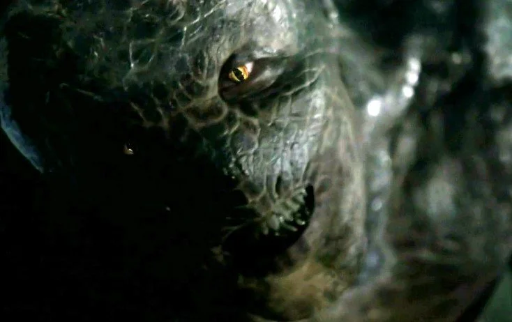 Rambling 111:  Shapeshifters