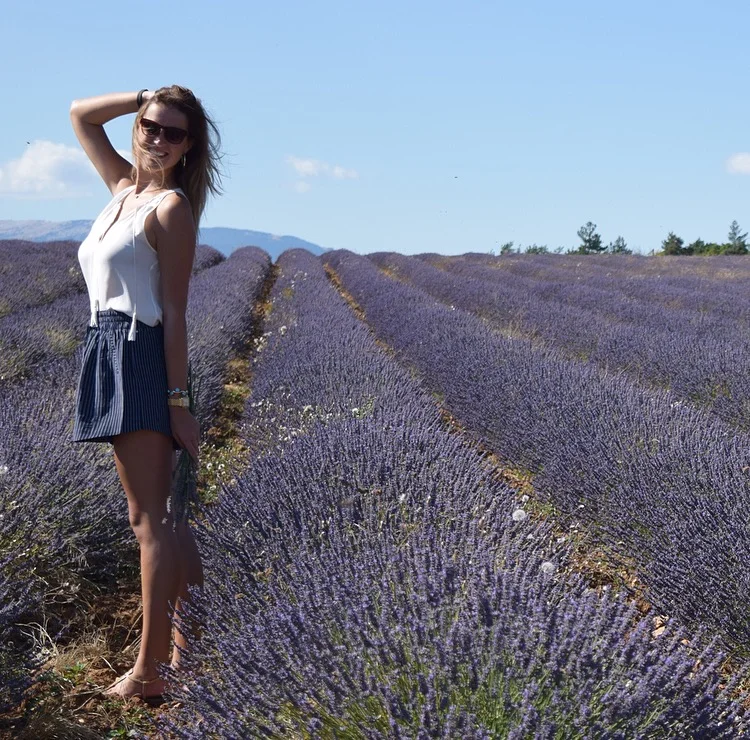 Lavender Fields and Farmer's Markets in Provence