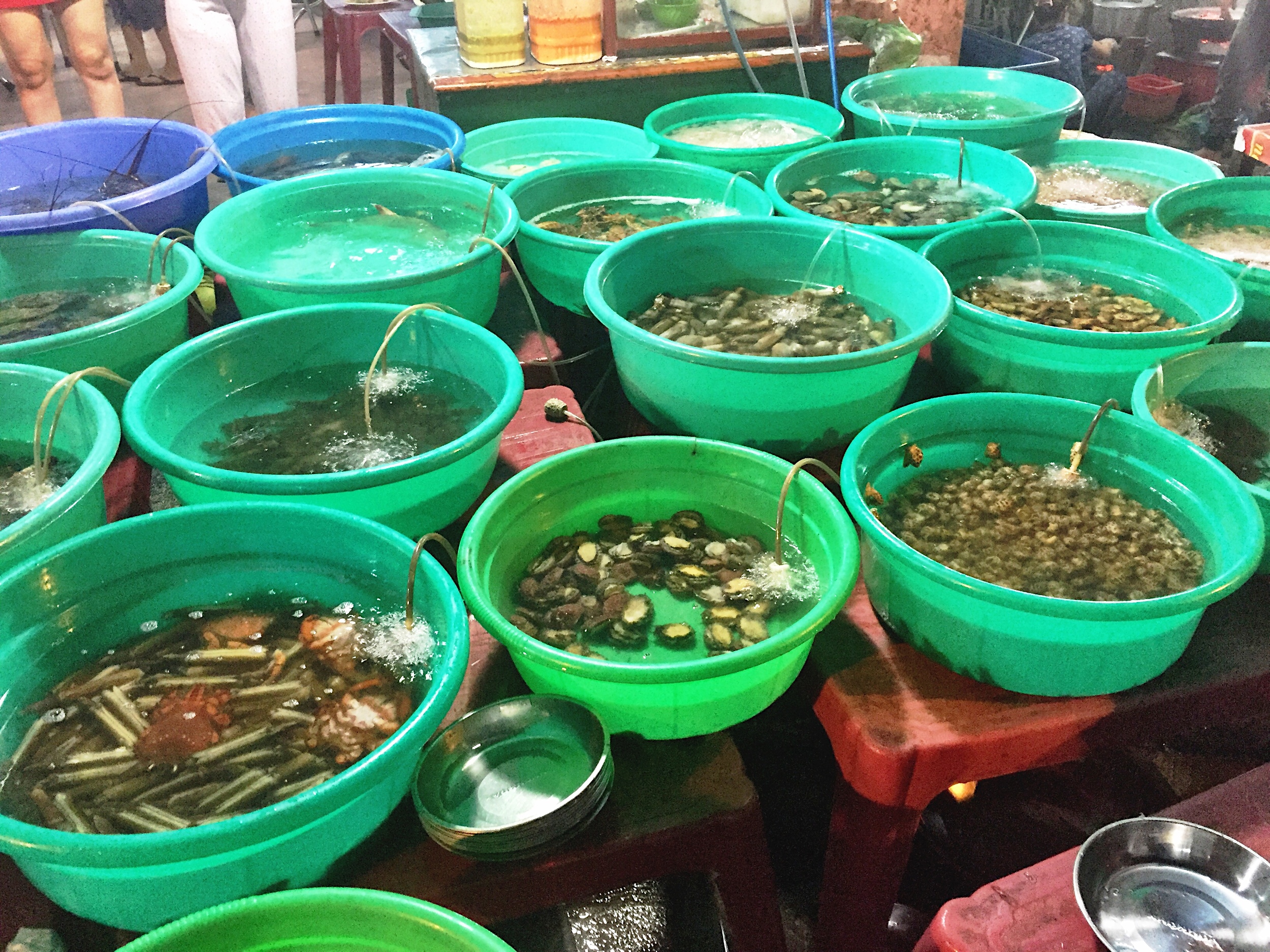 Like an underwater zoo that you can eat