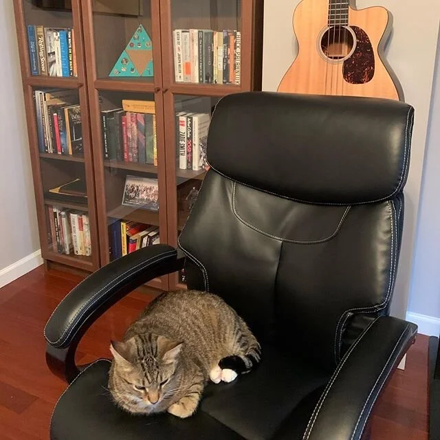 Reggie&rsquo;s adapting to a full work from home schedule too - finding new spots to sleep all afternoon so I can&rsquo;t sit down...ever. Must be nice