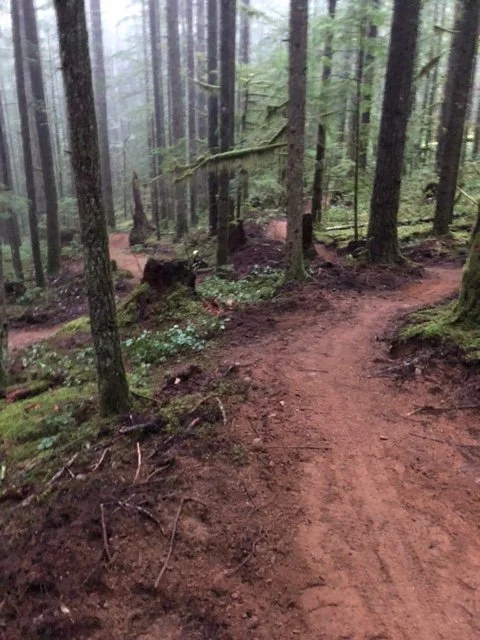 Dean Martin Trail Day