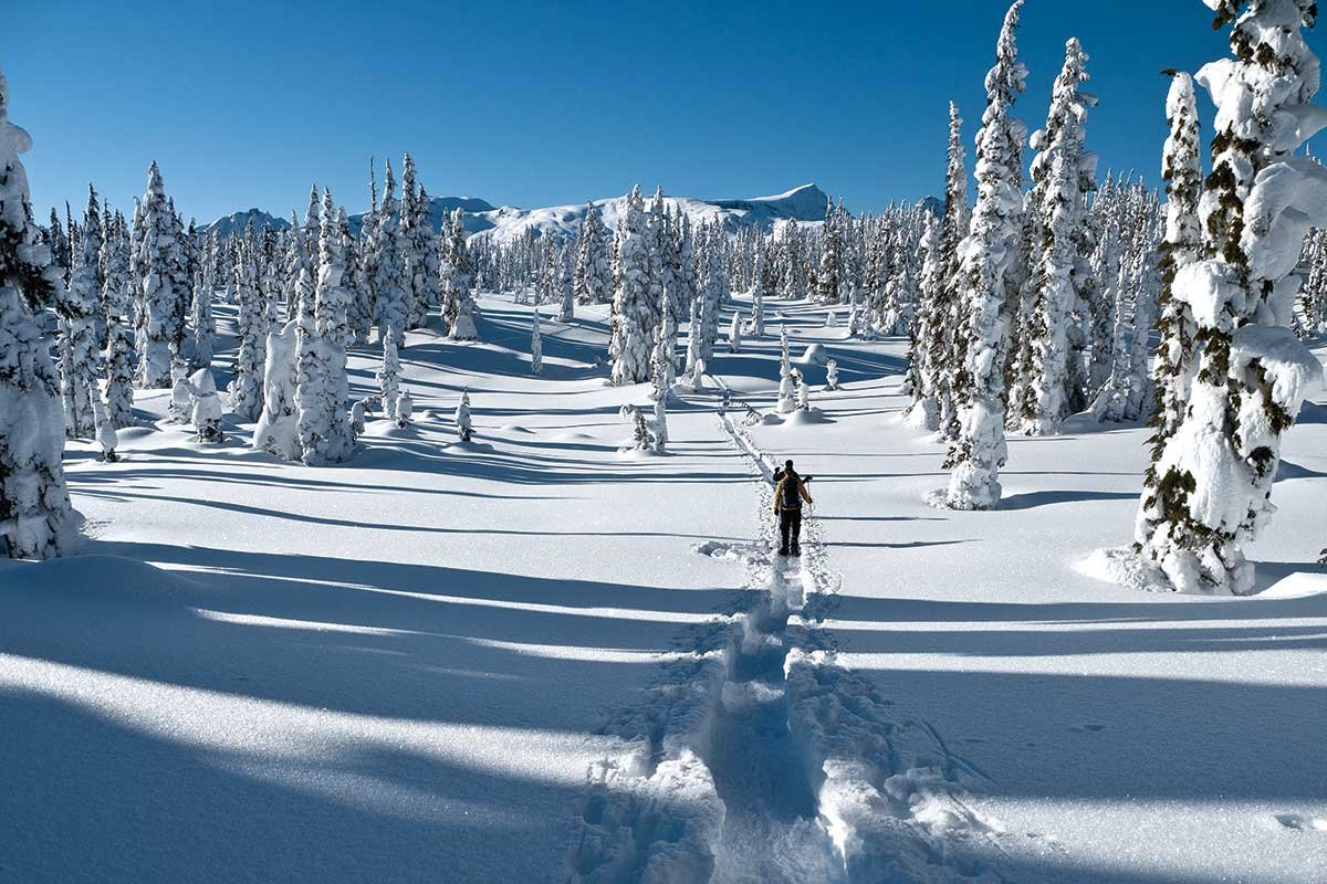 Mt Washington Snowshoe