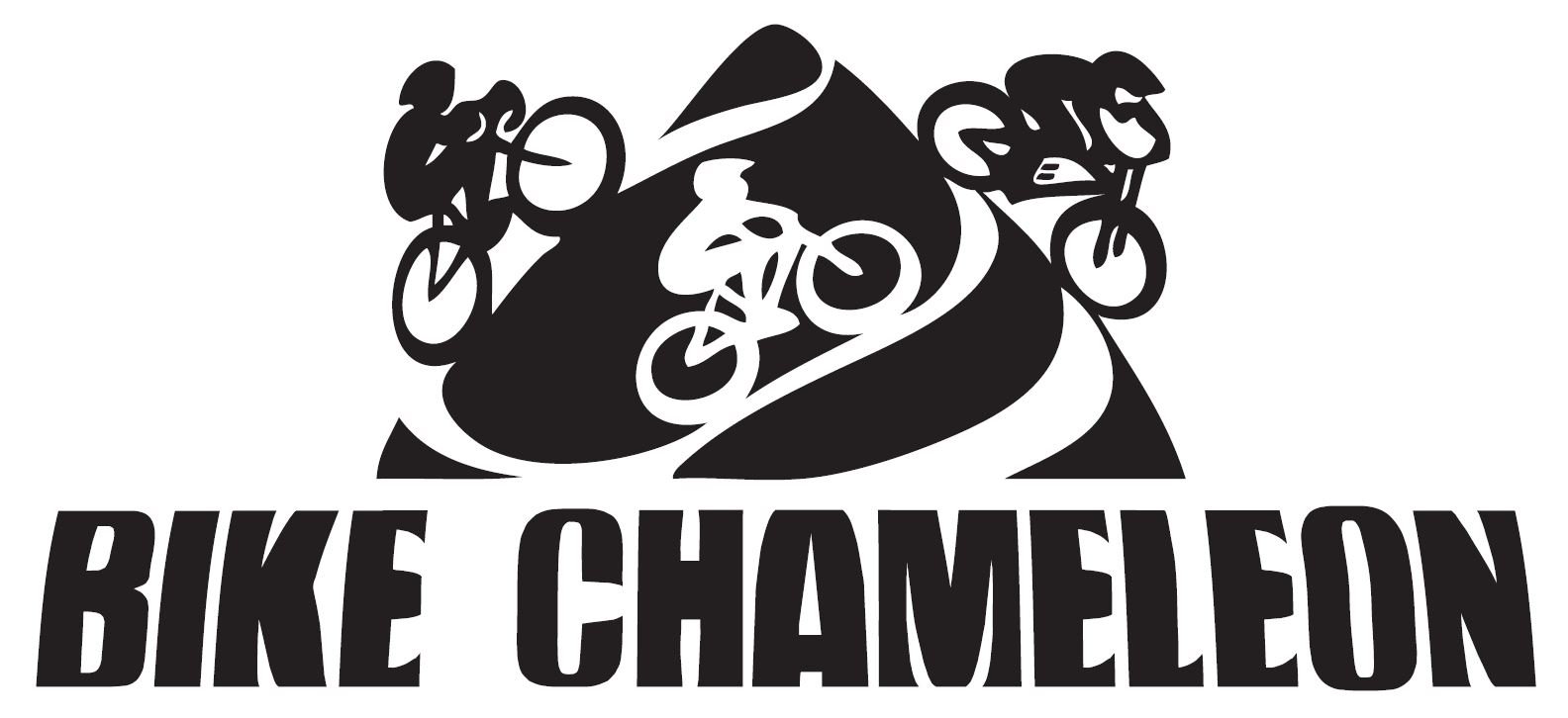 Bike Chamleon.JPG