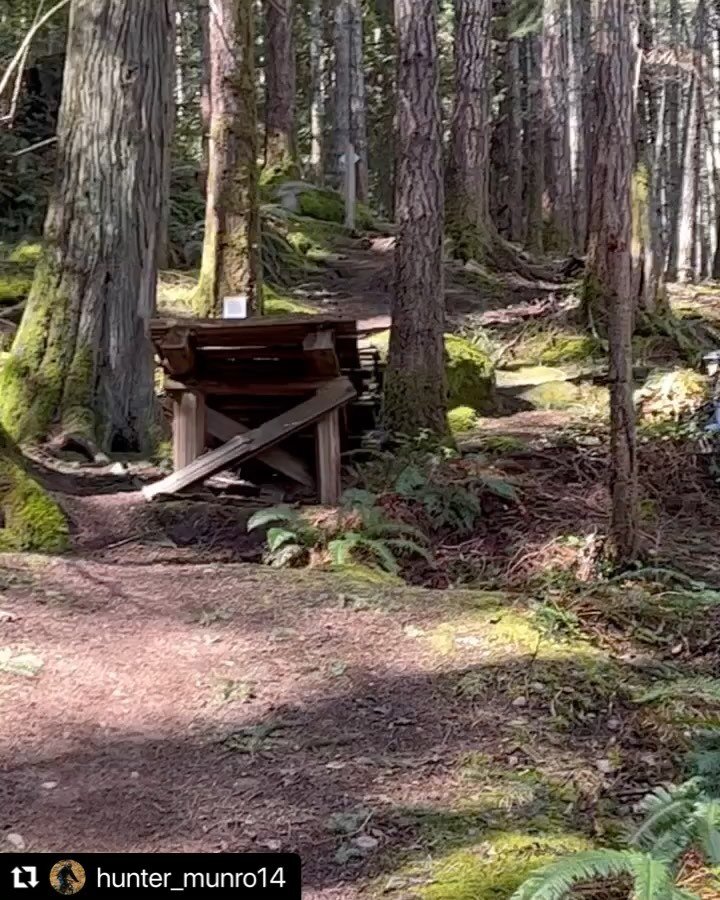 @hunter_munro14 perfectly captured why we live bikes! 🚲
#shred #send #friends

The views on @hornbyisland are always amazing too!
@himba.hornby 

#rivercitycycleclub 
#rivercityflowriders 
#rccc
#mtb #mtblife 
#groupride
#weberiding #bike #cycling
#