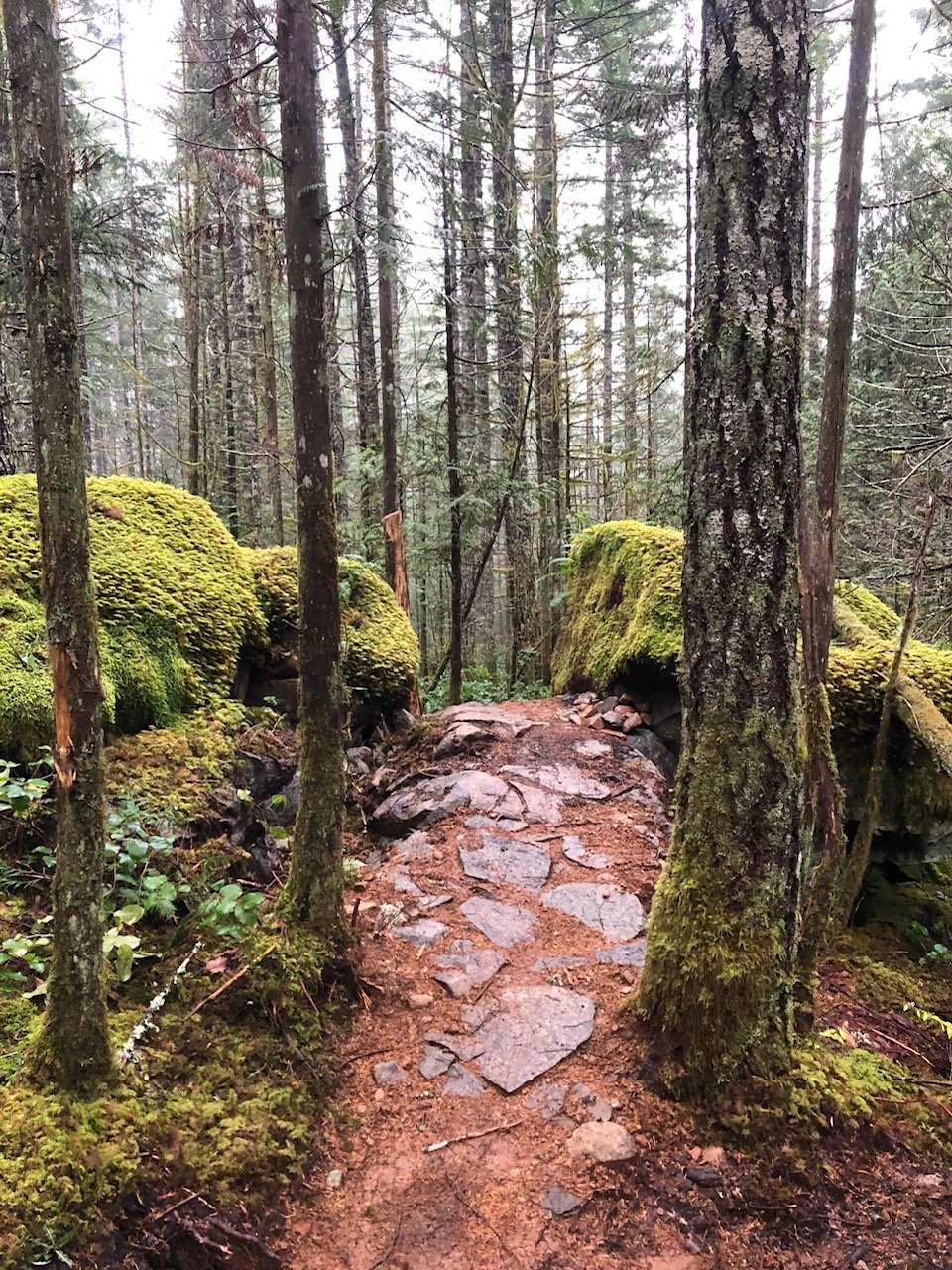 Last Trail Day of 2024 With Boston Pizza Apres!