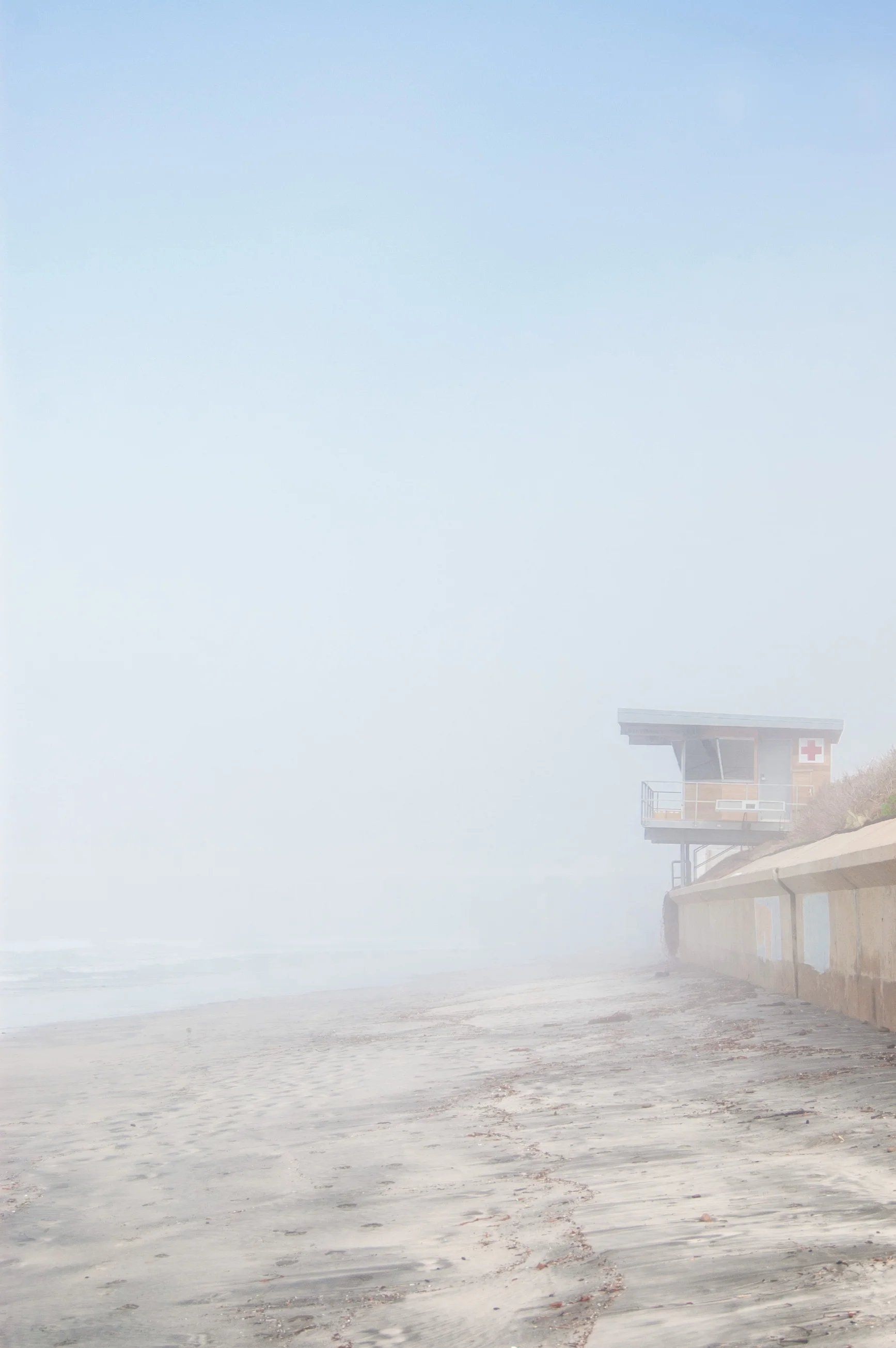 It was pretty foggy when we first got to Scripps Beach.
