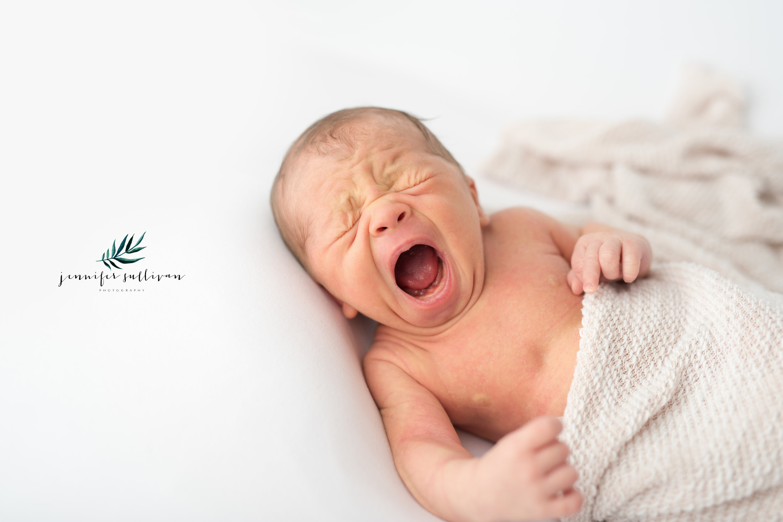 dartmouth baby photographer newborn-401-5.jpg