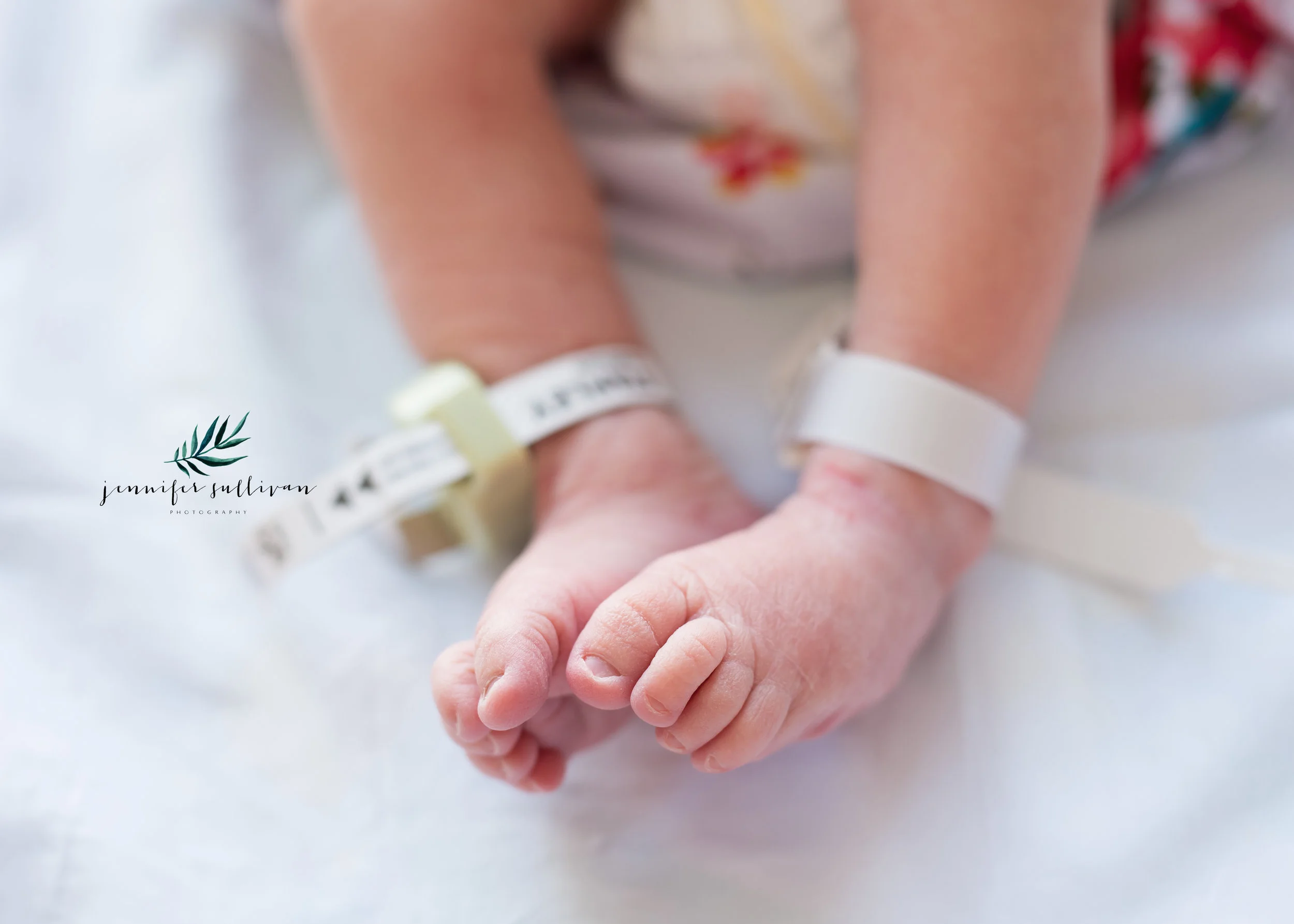 DARTMOUTH  FRESH 48 newborn  PHOTOGRAPHER-400.jpg