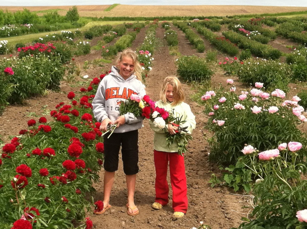 Young Peony Enthusiasts