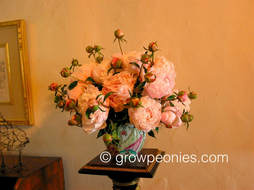 nick-shaylor-peony-flower-arrangement.jpg