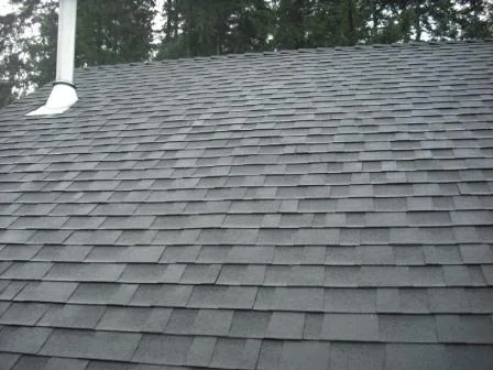 Cleaned-Roof.JPG