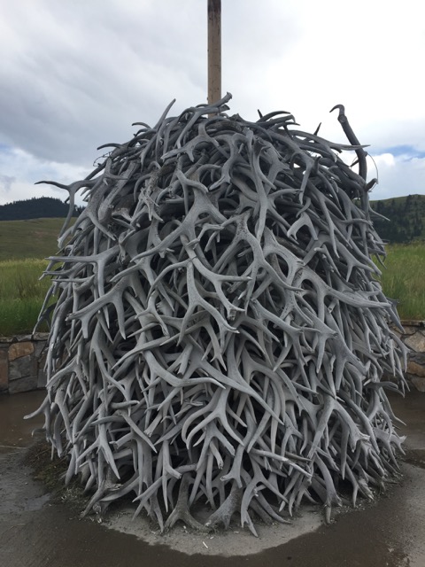 Near the entrance of the National Bison Range