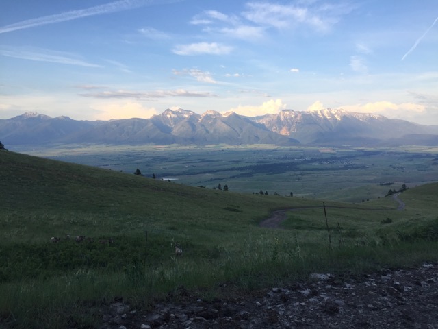 The Mission Mountains seen from the National Bison Range