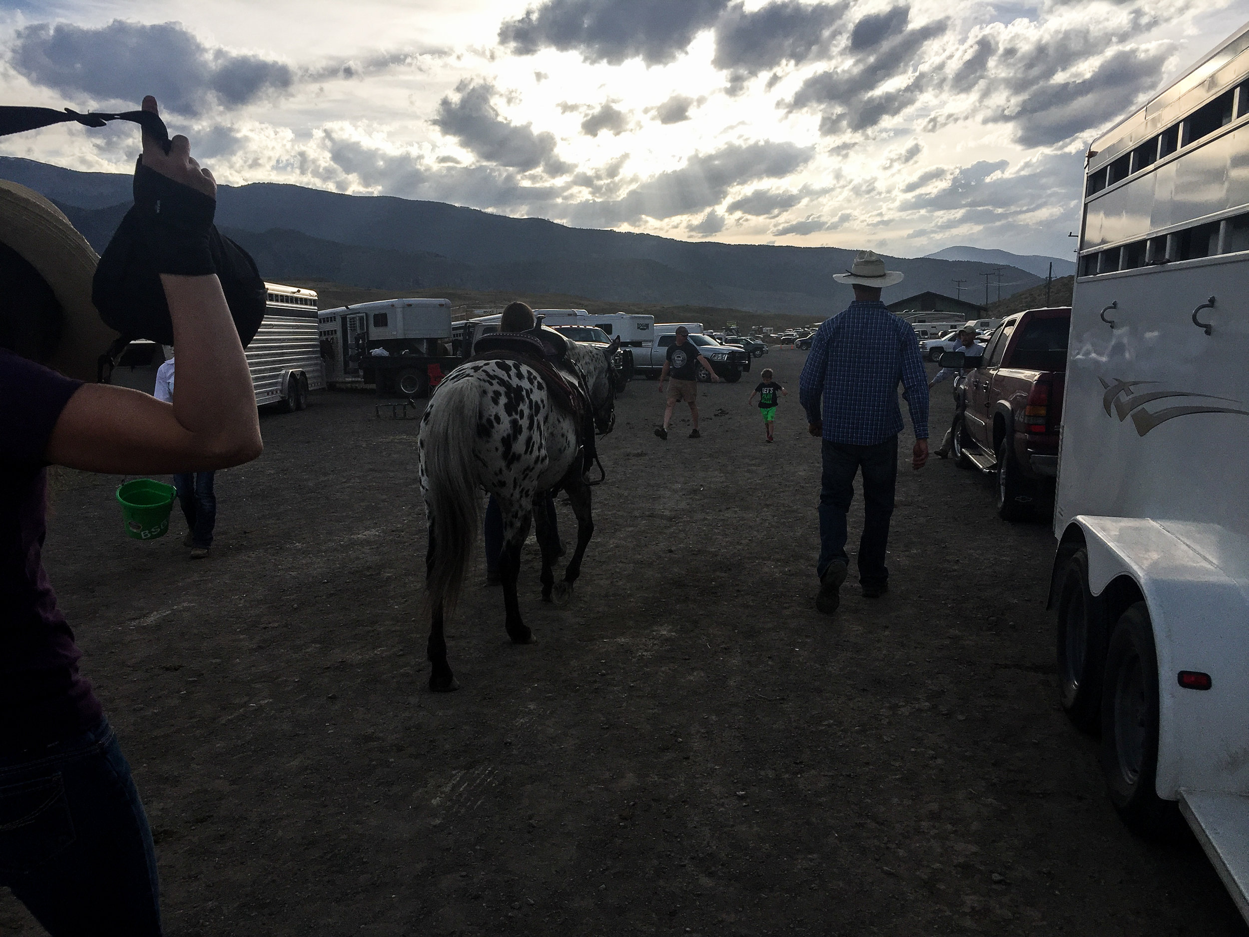 Gardiner rodeo