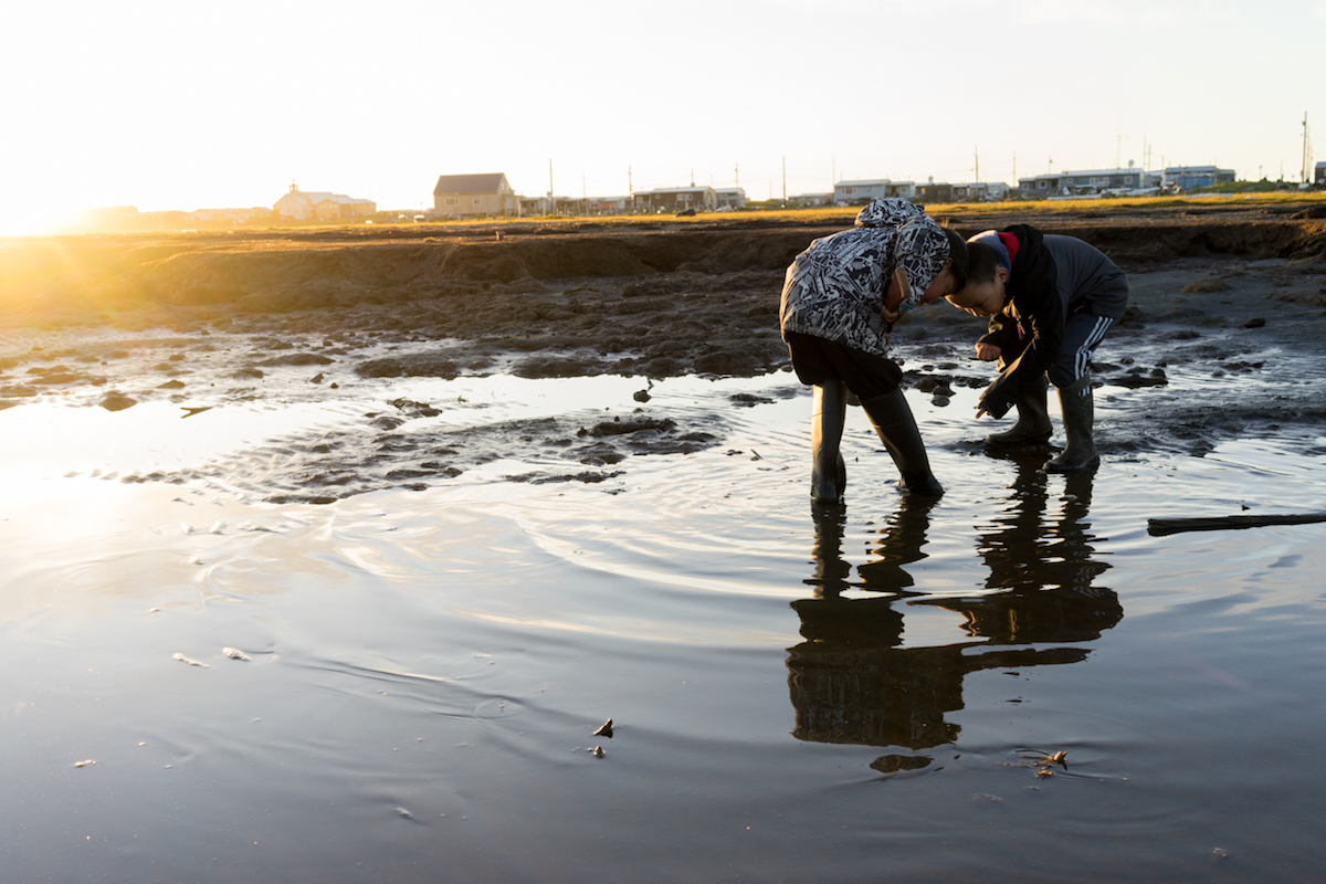 Brent and Elmer play along the shoreline at dusk.