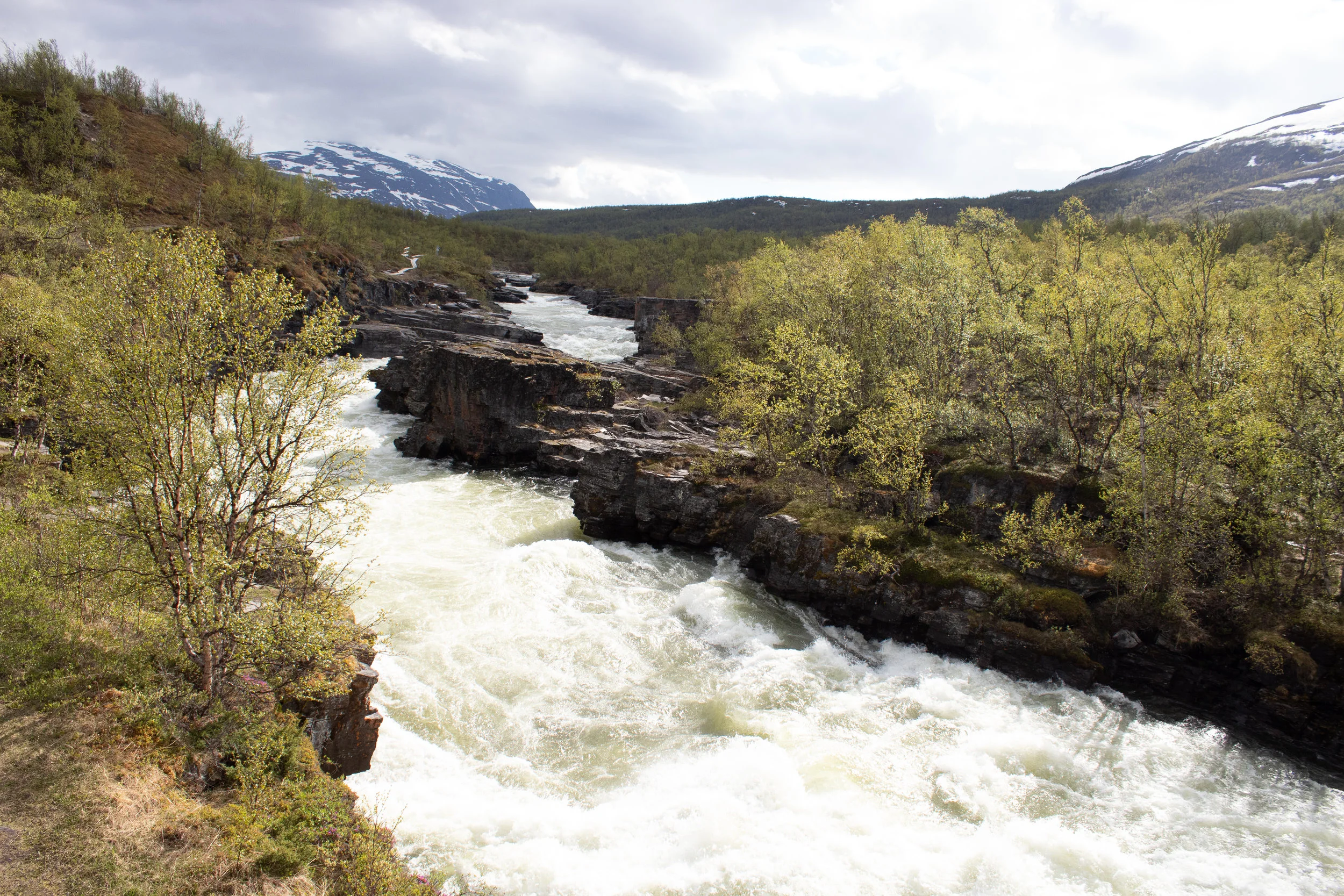 Abisko_River.jpg