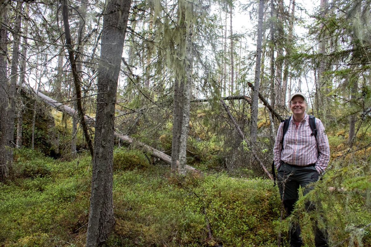 Lars Östlund, a forest historian at the Swedish University of Agricultural Sciences, finds clues about the past in the forest itself.