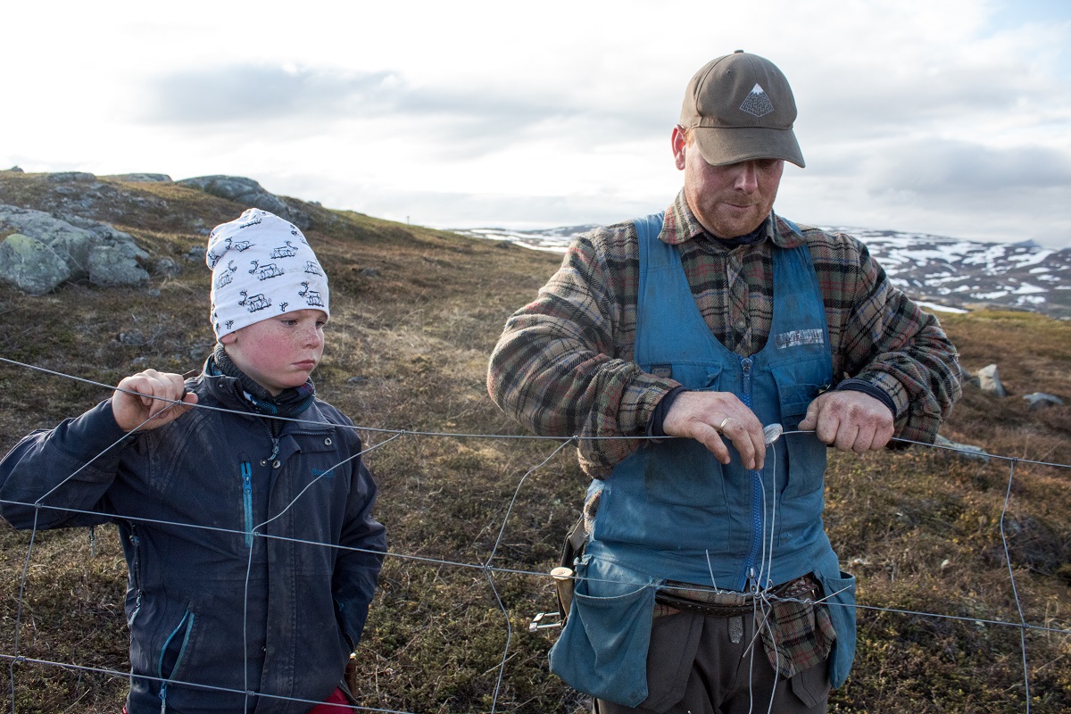 Ulf Isak Aleksandersen helps his father fix a fence. 