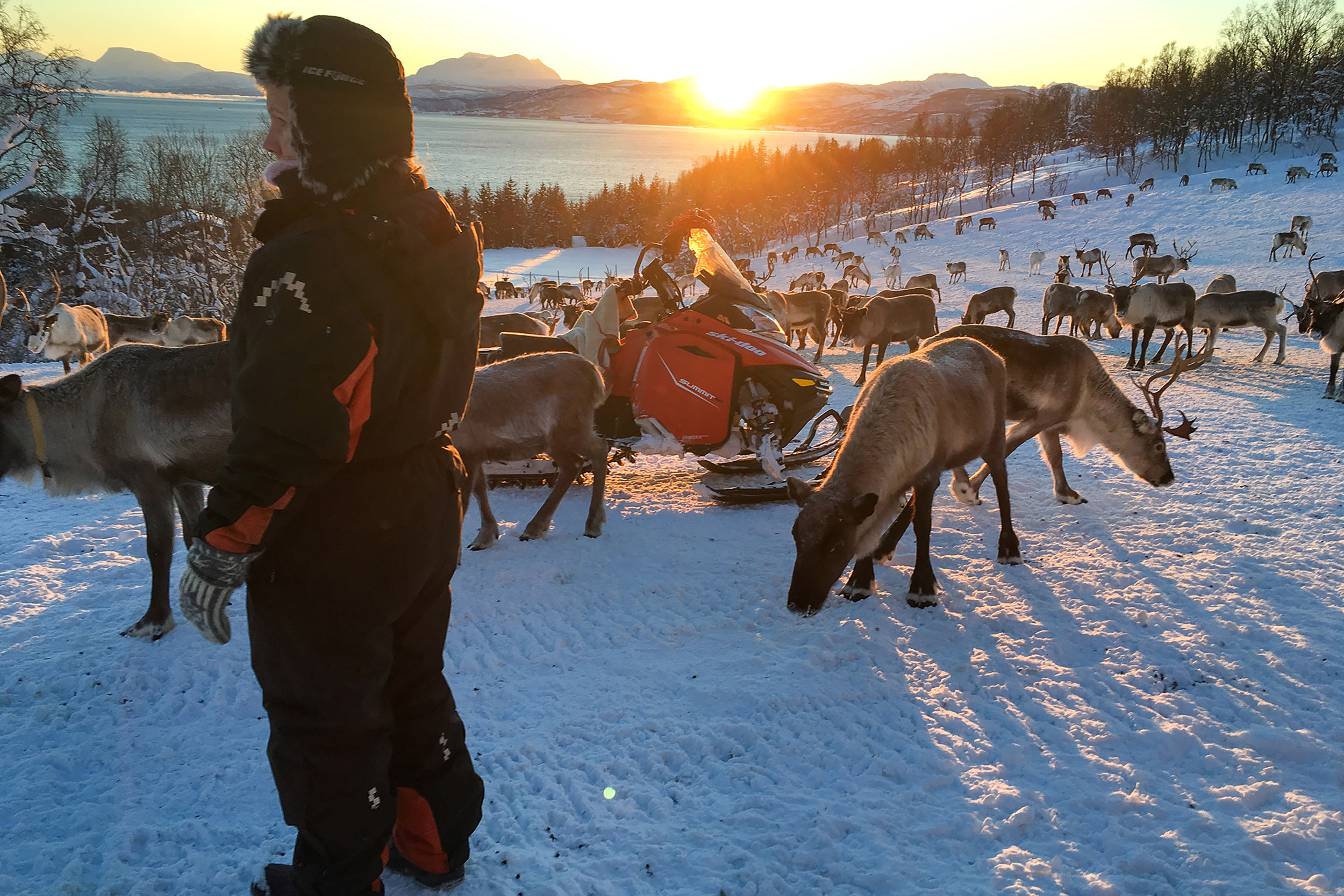 Kvaløya , Norway. January 2019. Photo credit: Amy Martin