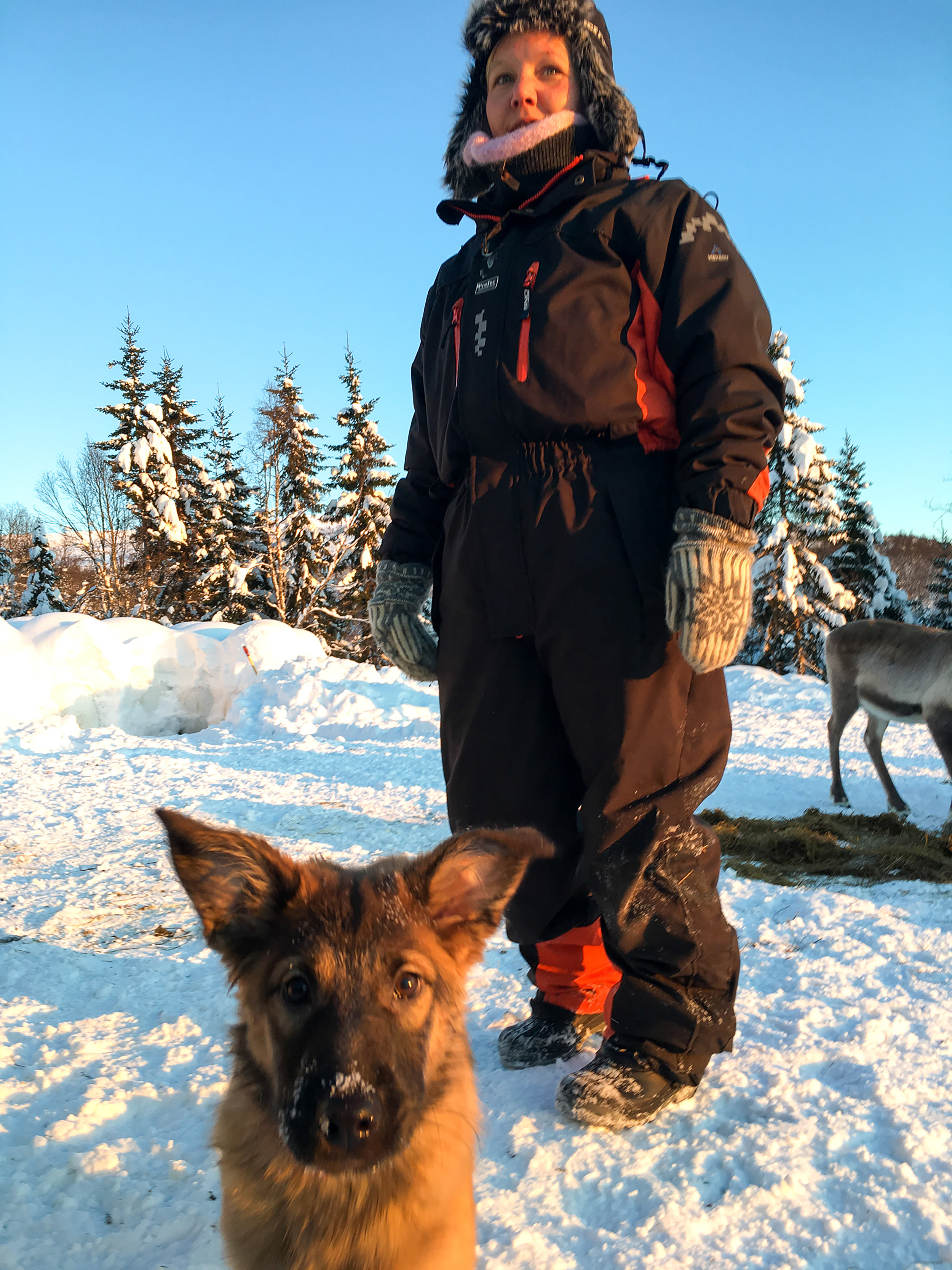 Kvaløya , Norway. January 2019. Photo credit: Amy Martin