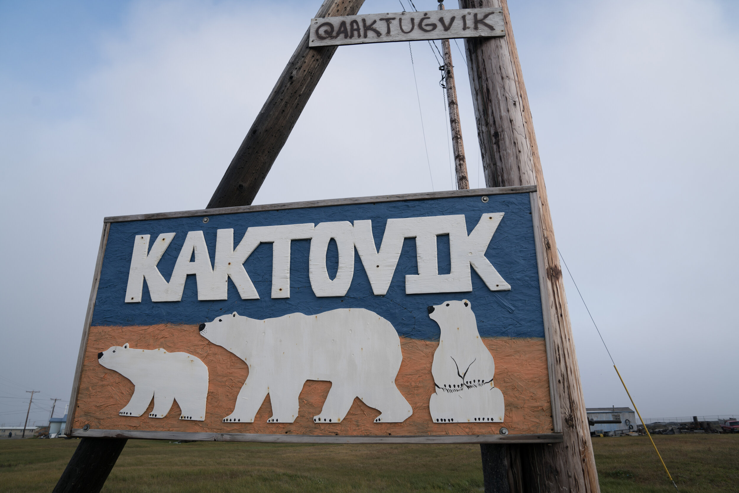 A sign welcoming visitors to polar bear central.