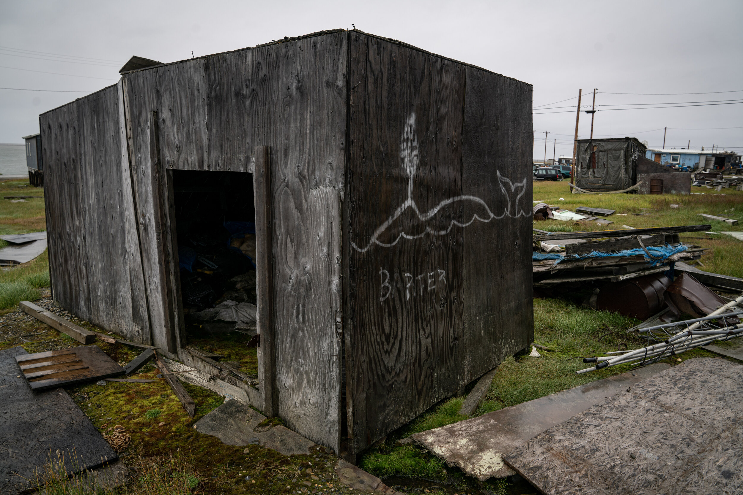 Whale art graffiti on side of hut.