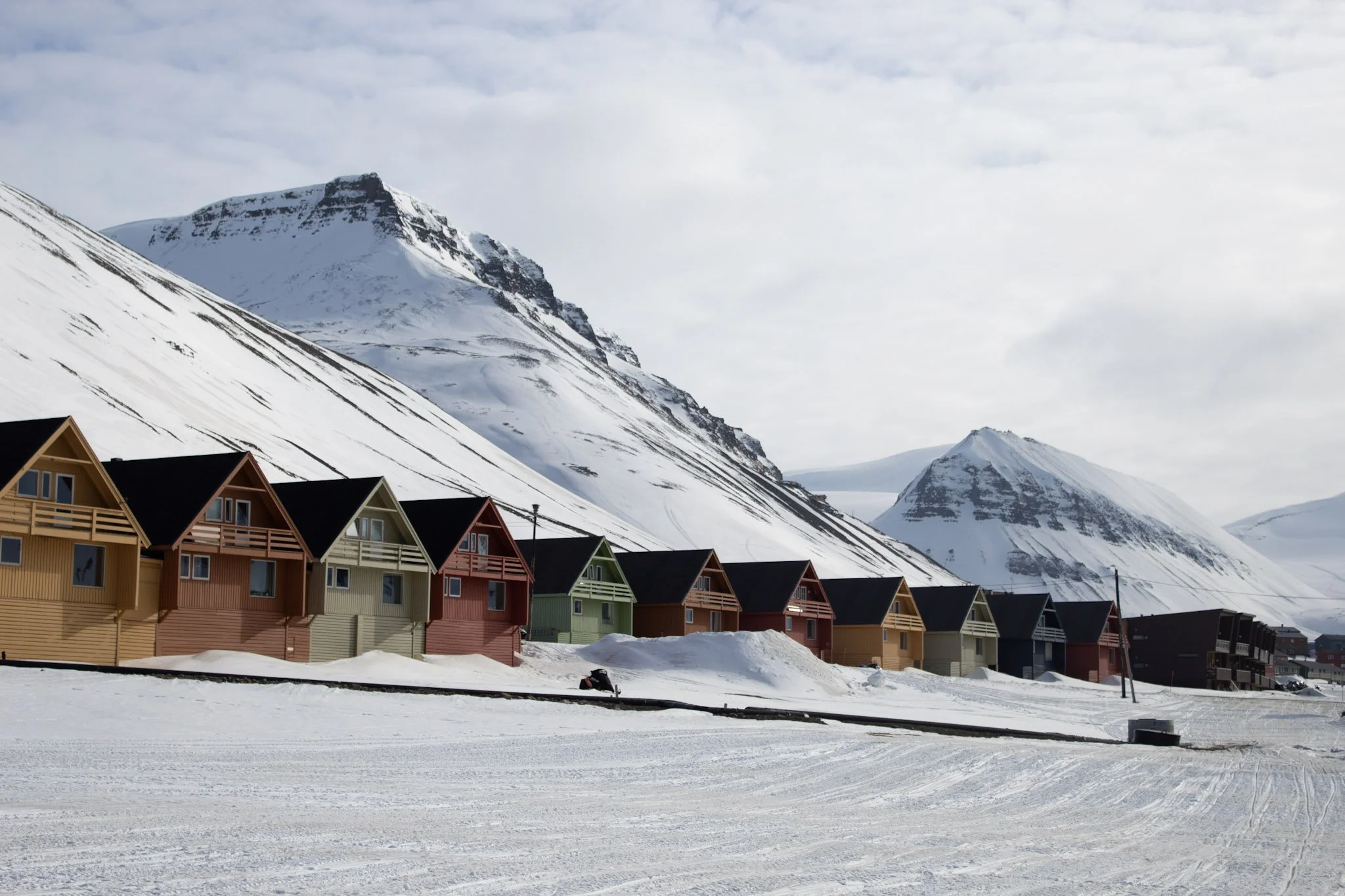 S2 Banner - Amy Mott - Svalbard.jpg