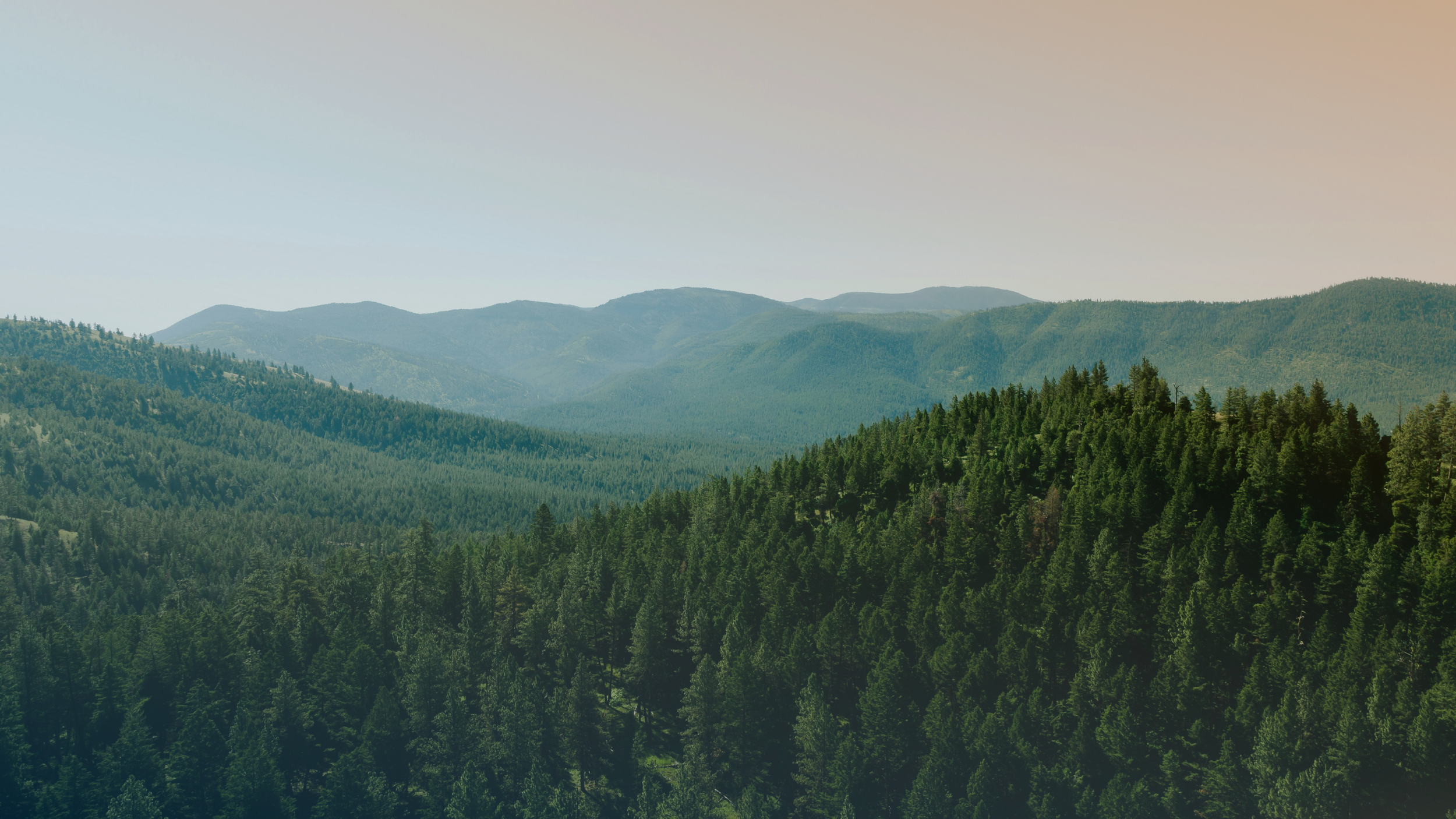 Landing page images (12).png