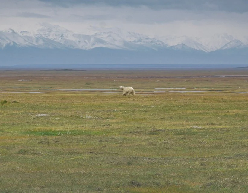 Refuge
