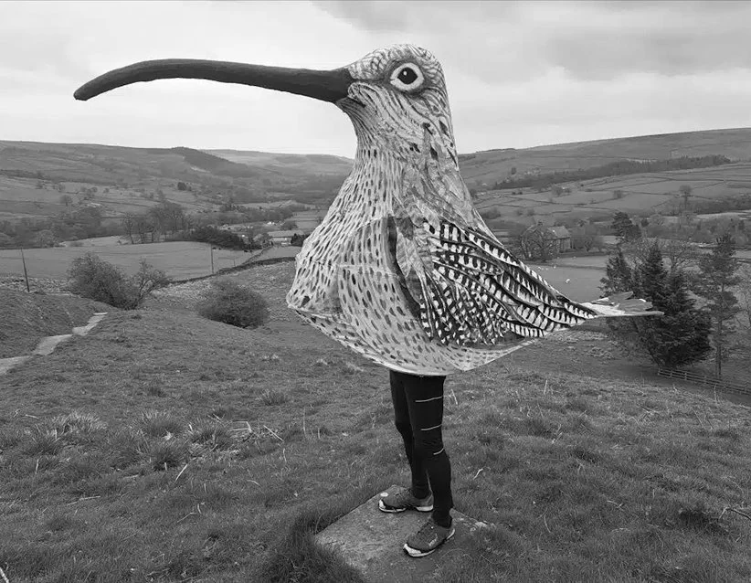 Walking Like a Curlew with Matthew Trevelyan