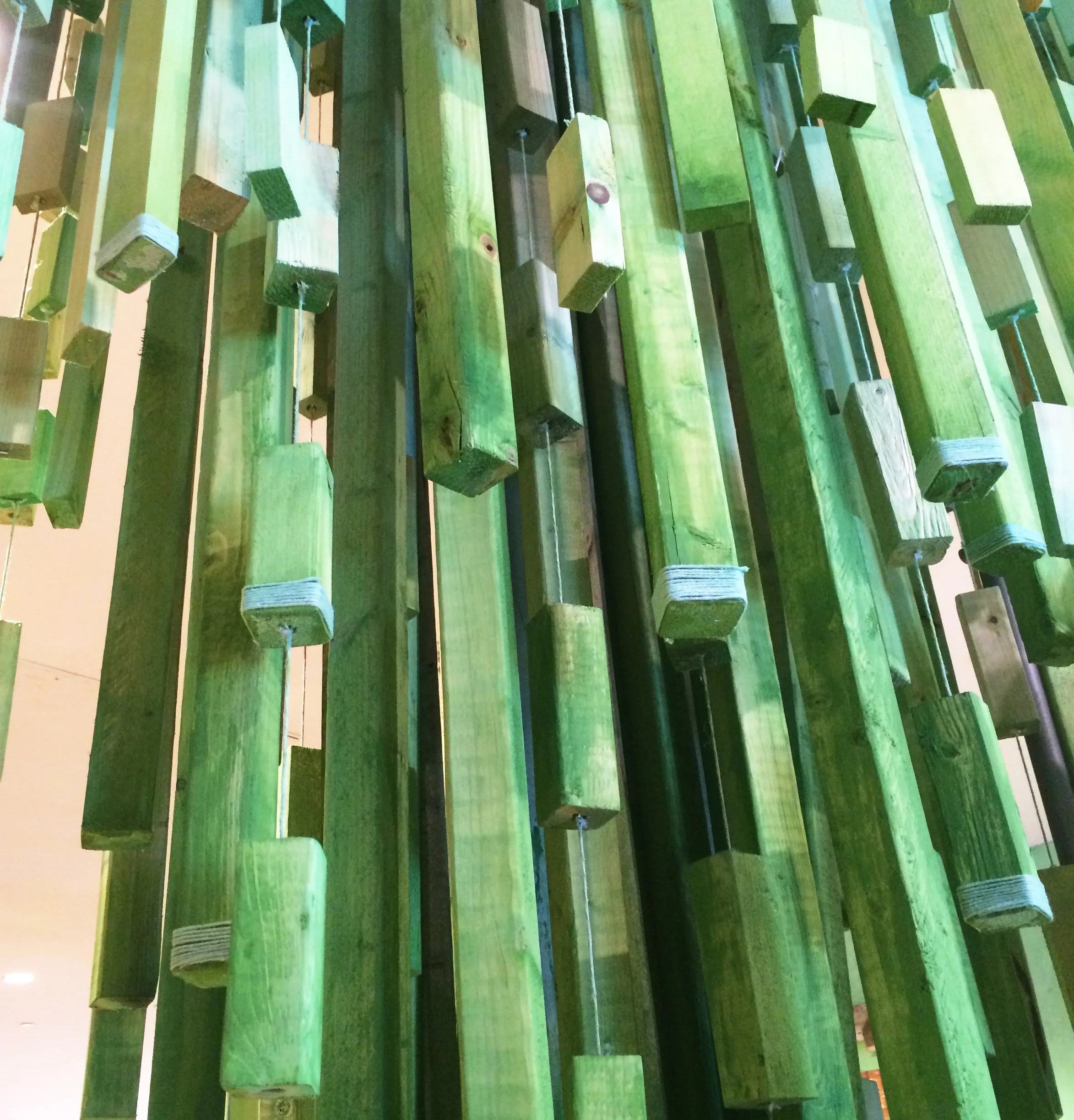 A11.Grasslands Close Up.jpg