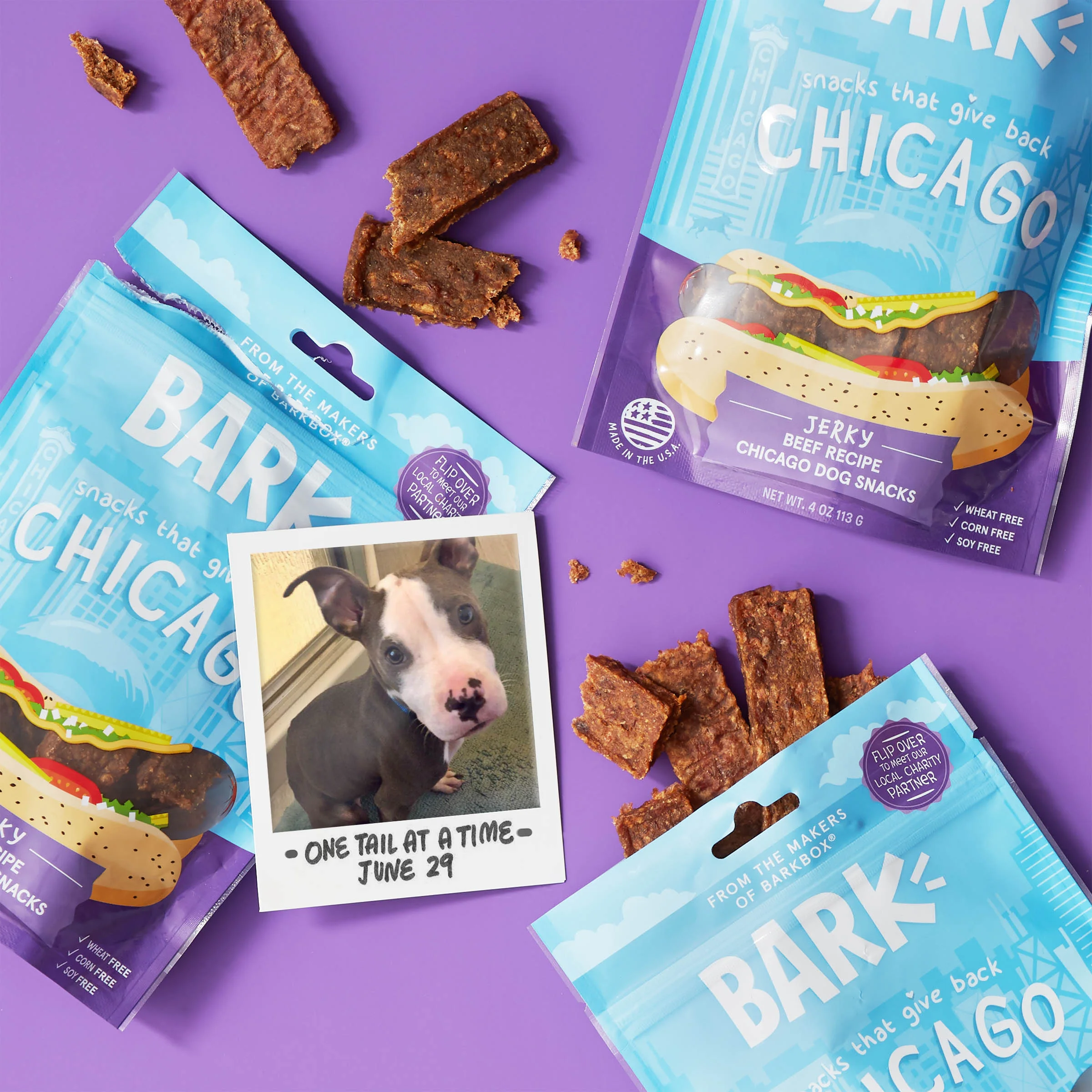 RETAIL_STGB2_CHICAGOBEEFCHICAGODOG_VHTop.jpg