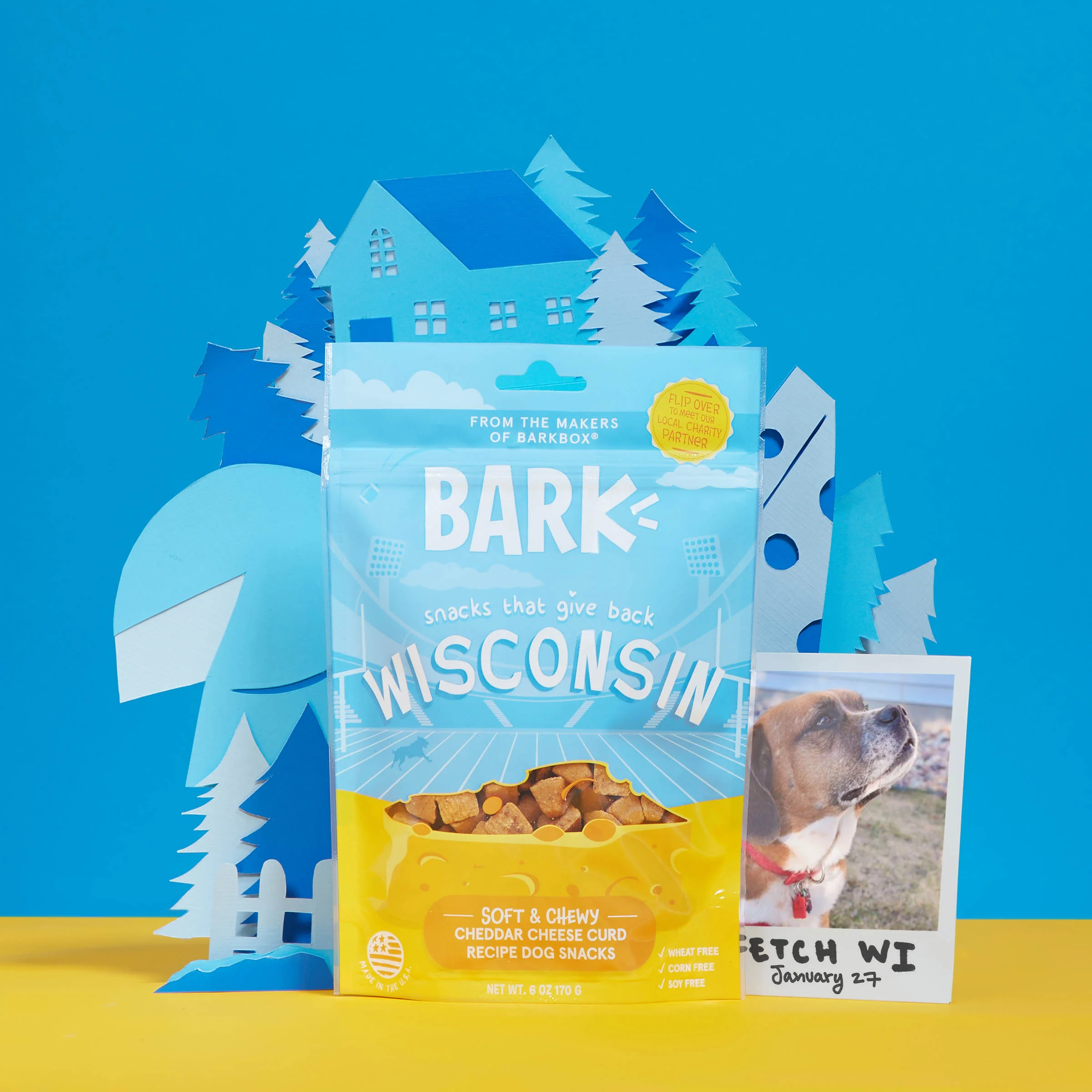 RETAIL_STGB2_WISCONSINCHEDDARCHEESECURD_VH.jpg