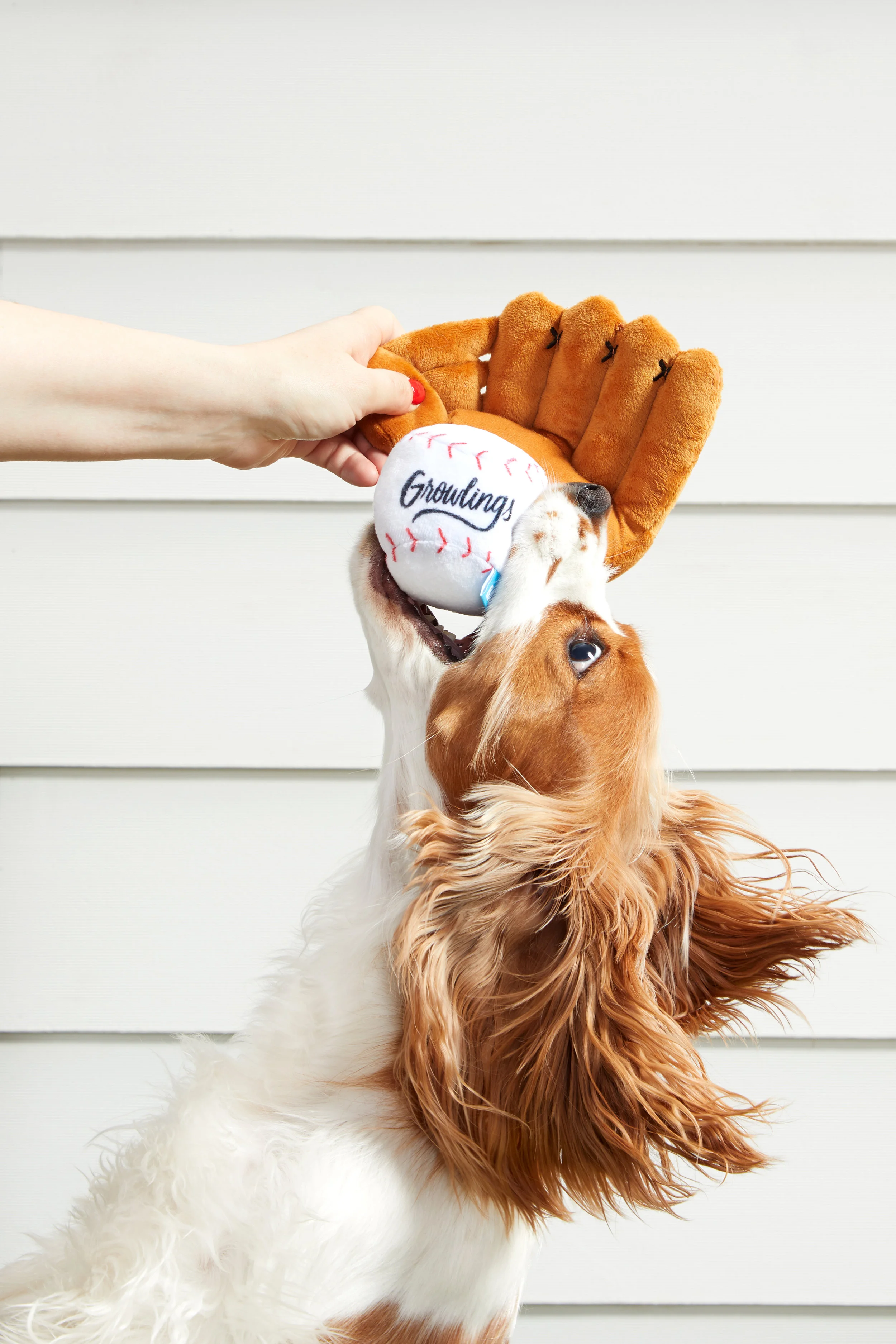 RETAIL GROWLINGS-BASEBALL-GLOVE COOPER 0402.jpg