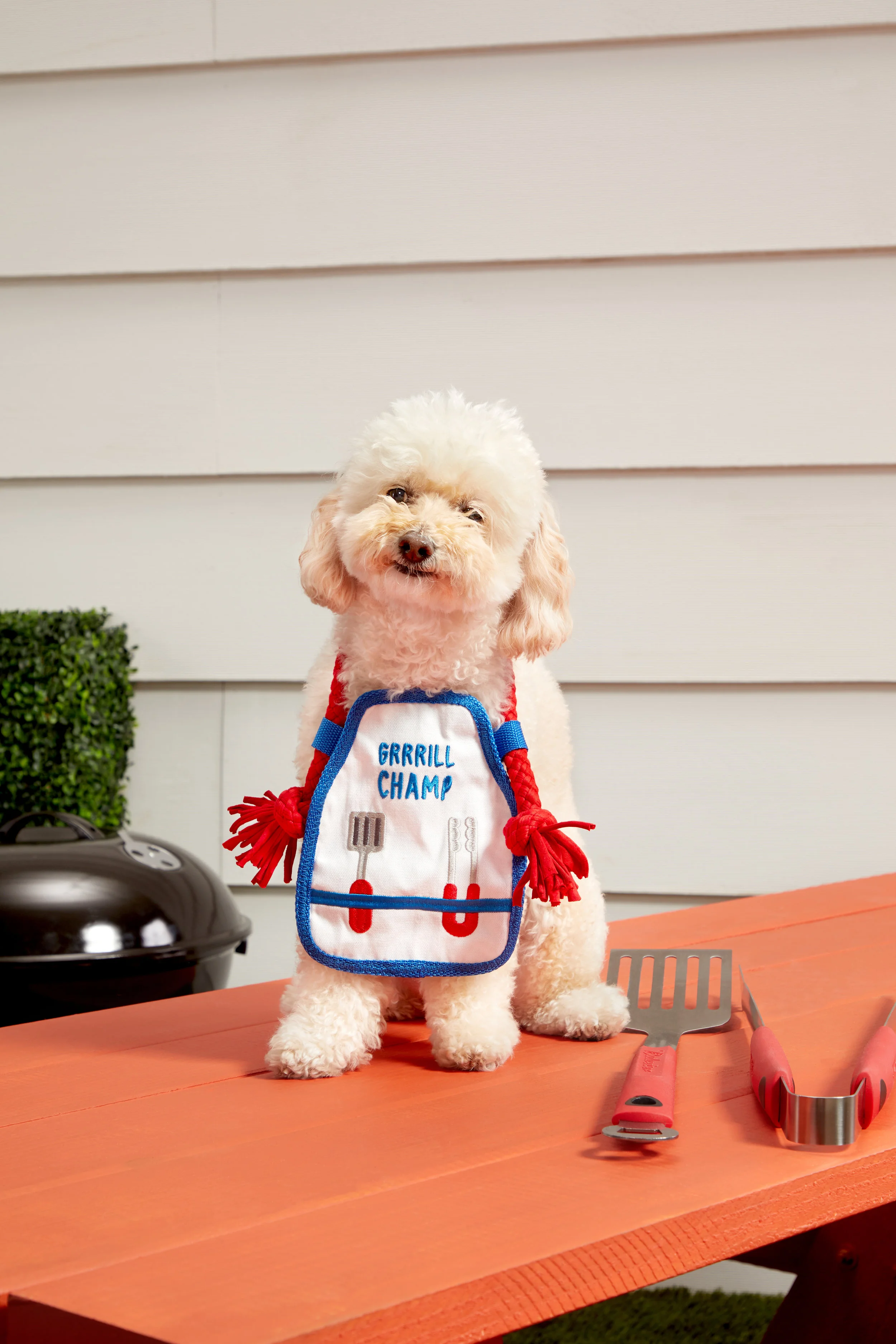 RETAIL GRRRL-CHAMP-APRON SADIE 1053.jpg