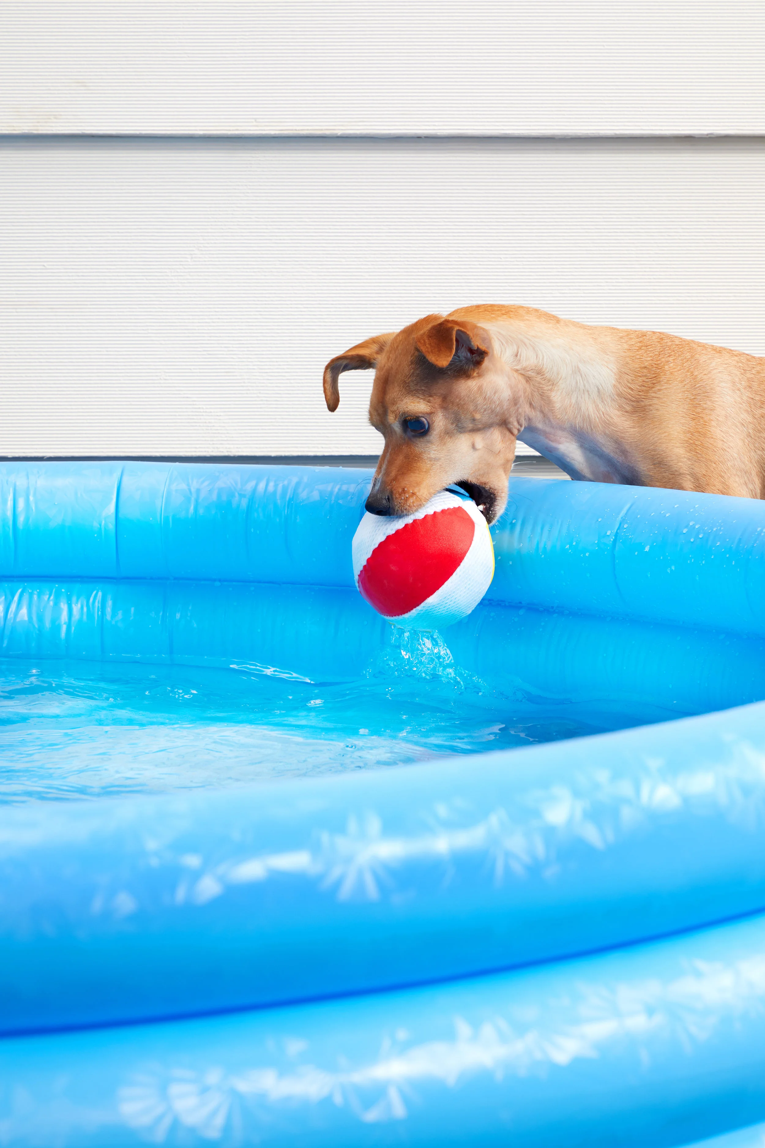 RETAIL LIFES-A-BEACH-BALL PIMM 0260.jpg