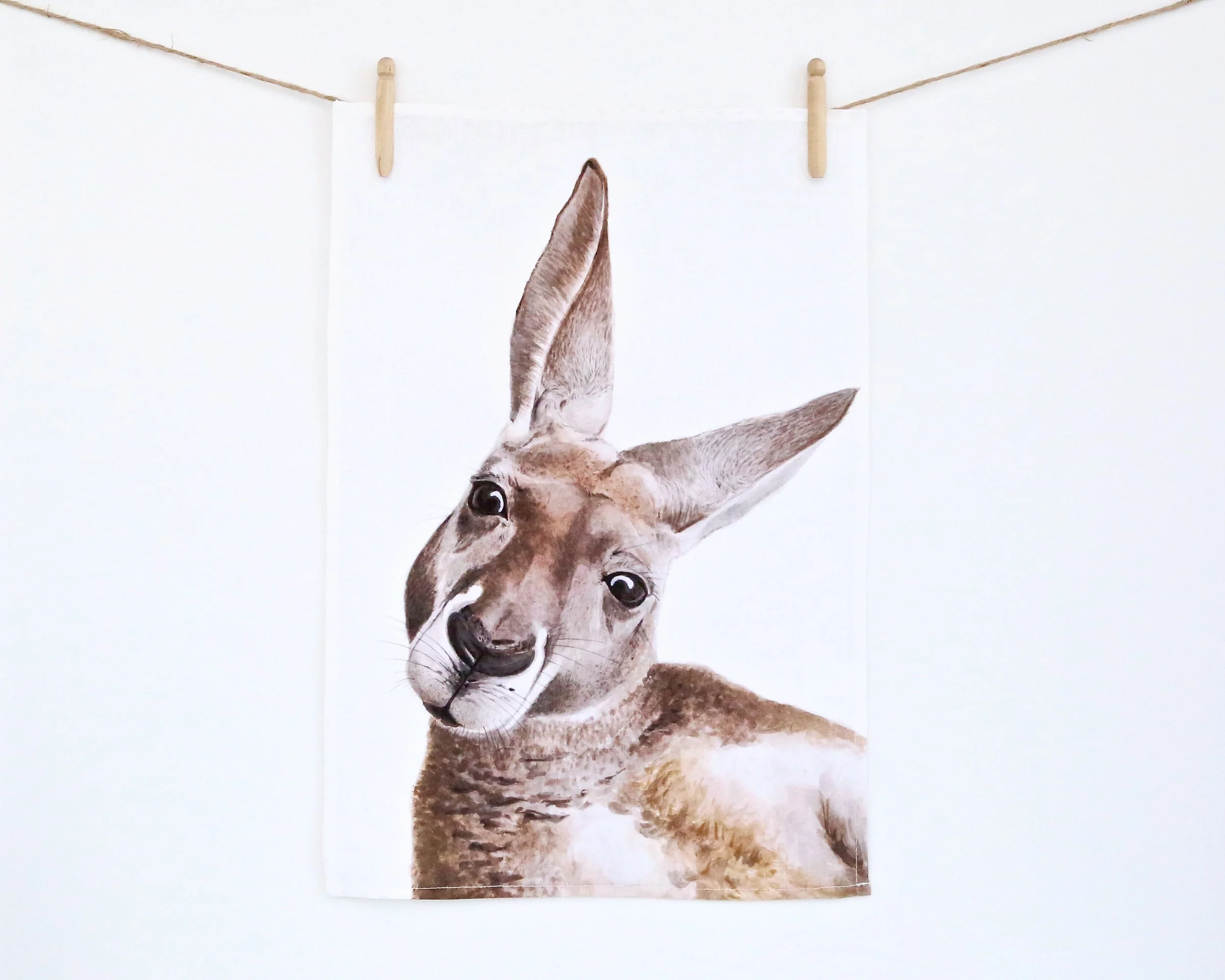 Kangaroo HI Res.jpg