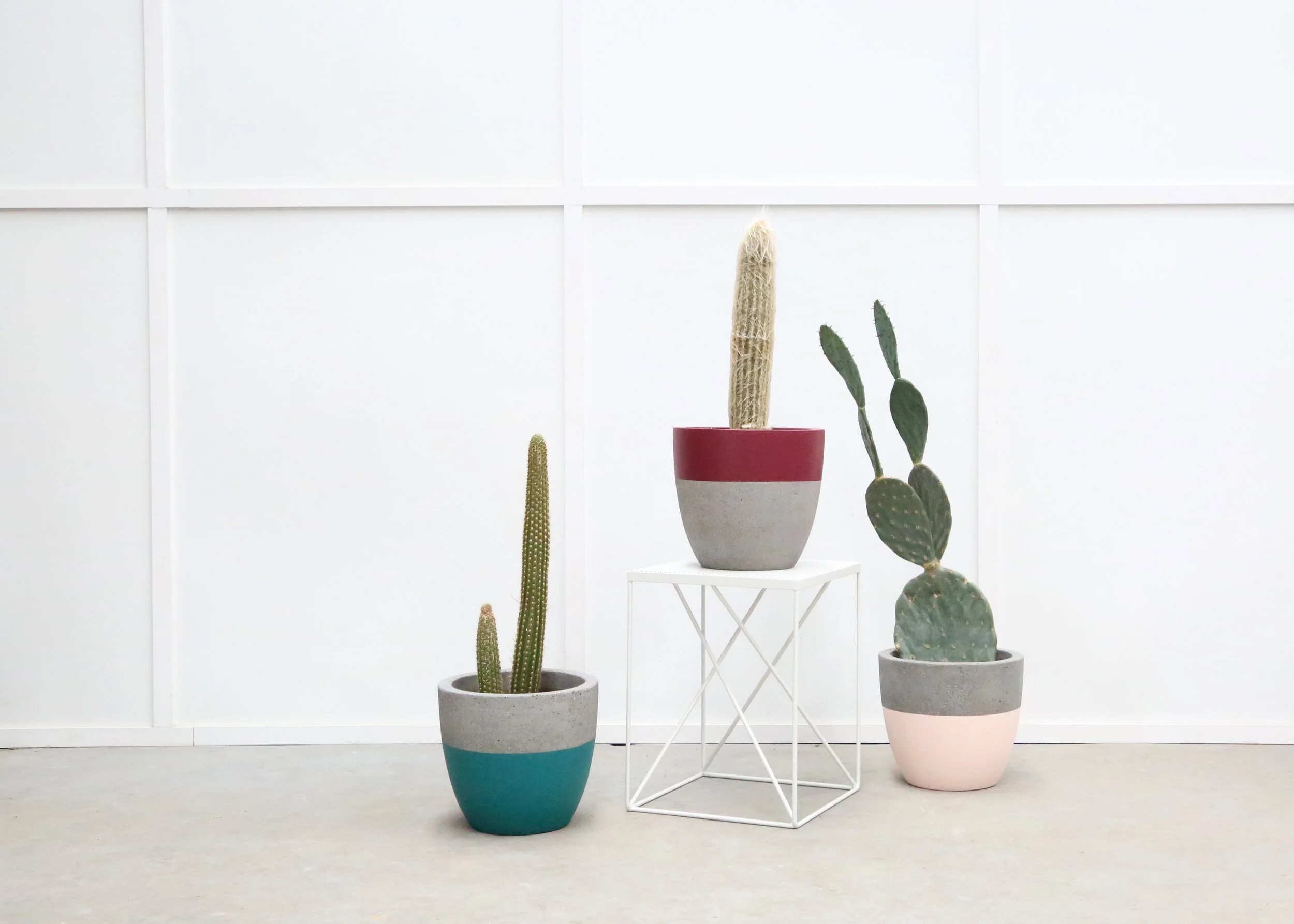 Dip Pots Trio.jpg