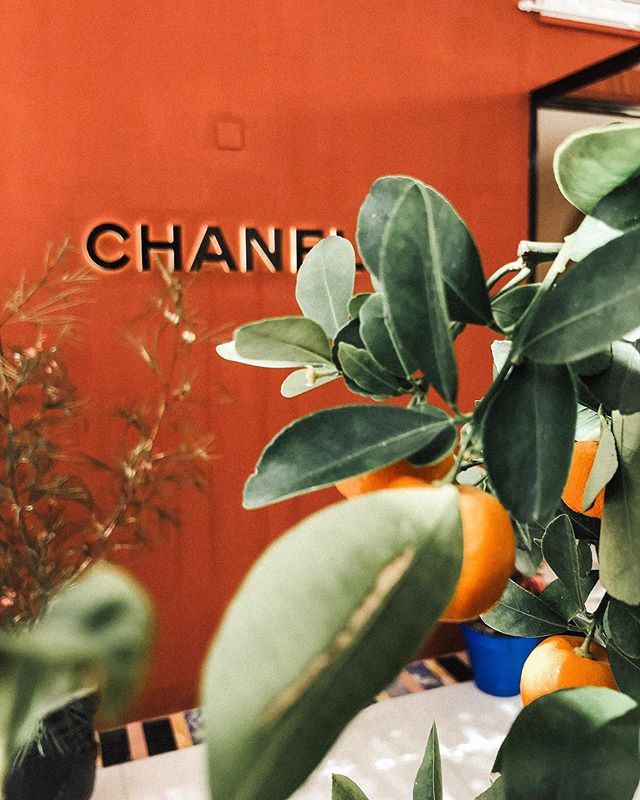 💭 🍊 Chanel Villa in Capri