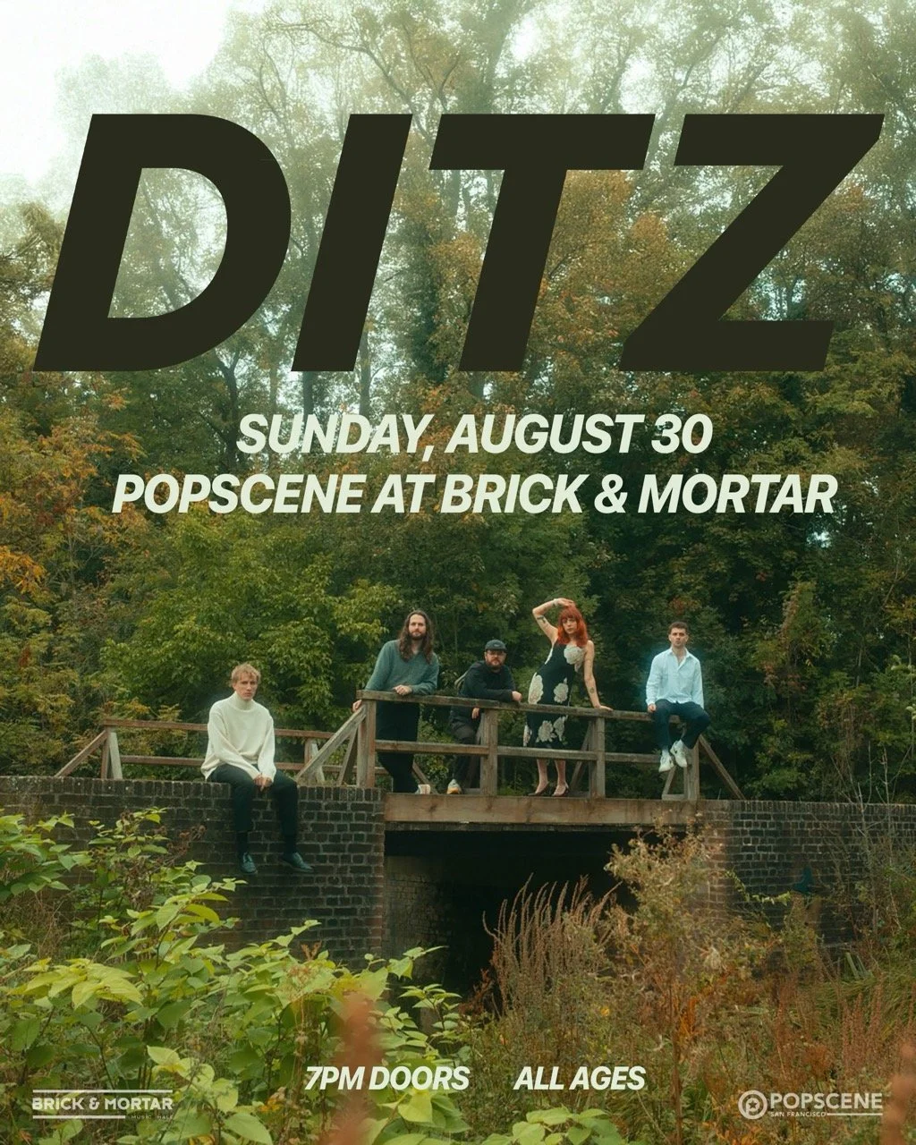 DITZ (UK)