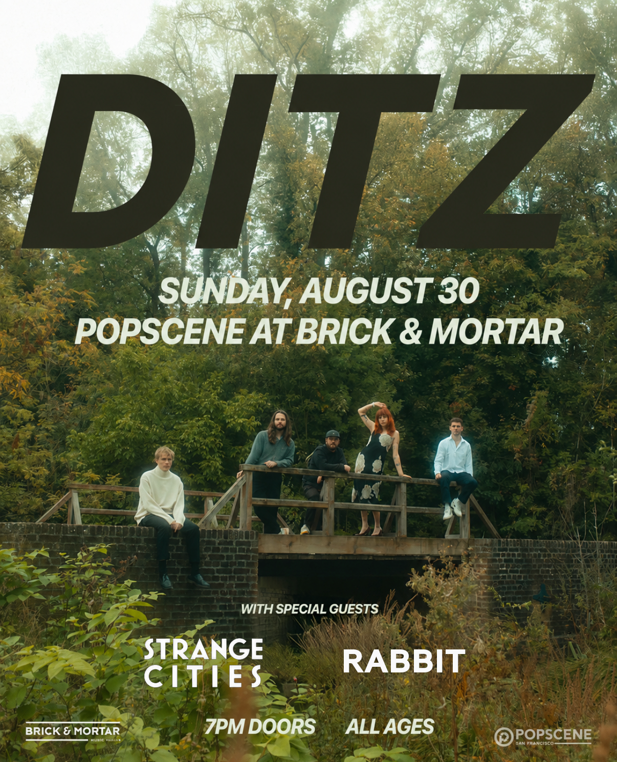 DITZ (UK)