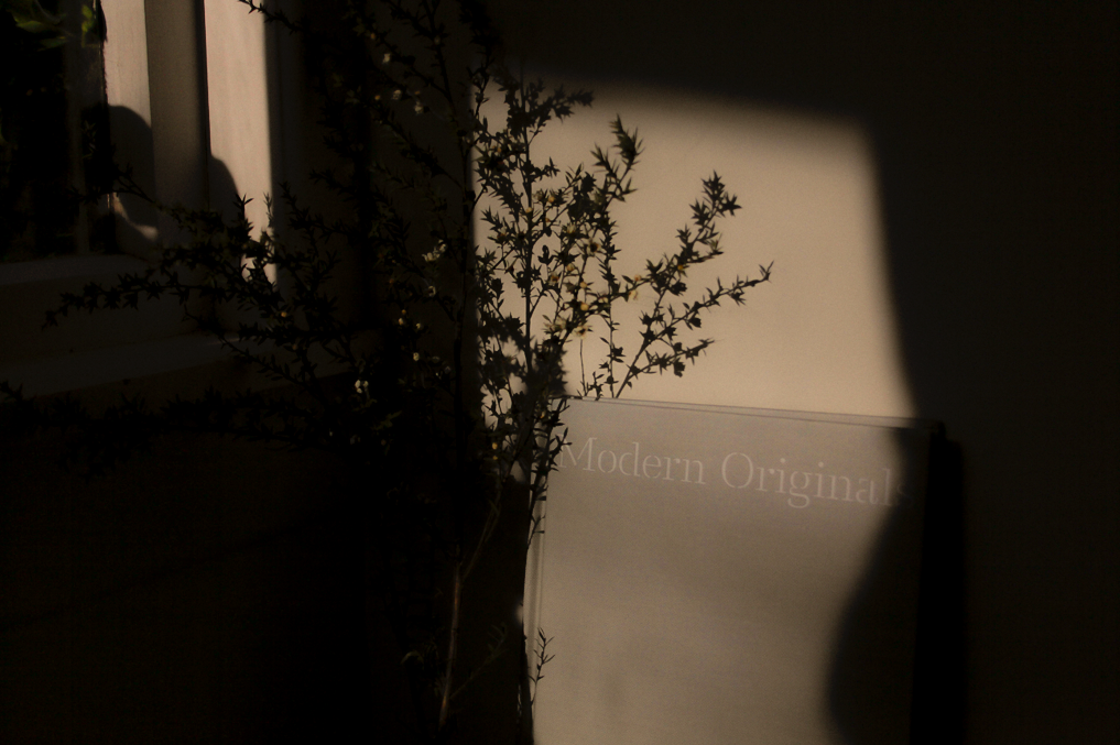 Screen Shot 2019-08-14 at 3.15.45 PM.png