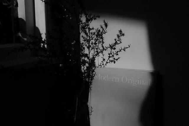 We&rsquo;ve been putting together beautiful furniture packages we&rsquo;re really excited to show you next week! Until then - we&rsquo;re running round! 🏃&zwj;♀️ 🏃&zwj;♀️ .
.
.
#homedecor #interior4you #passionforinterior #roomforinspo #interior #interiors #dailyinterior #propertystylist #realestatestylist #interiorinspo #interiordesign #styling #staging #homestaging #propertystaging #aucklandhomestaging #aucklandstylist #aucklandinteriors #lifestyle #auckland #aucklandapartments #apartments #property #aucklandcity