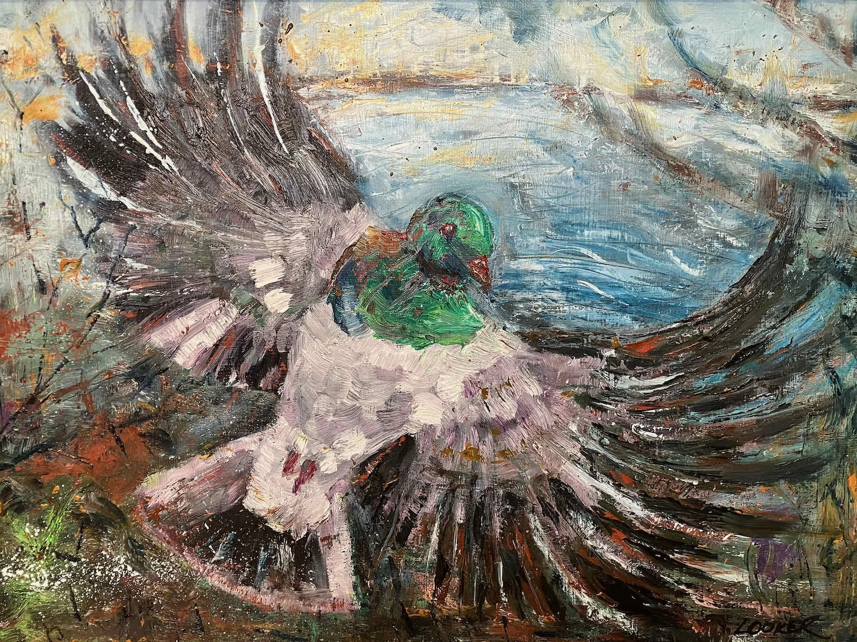   Kereru in Flight   oil on board   45×60cm    Enquire   