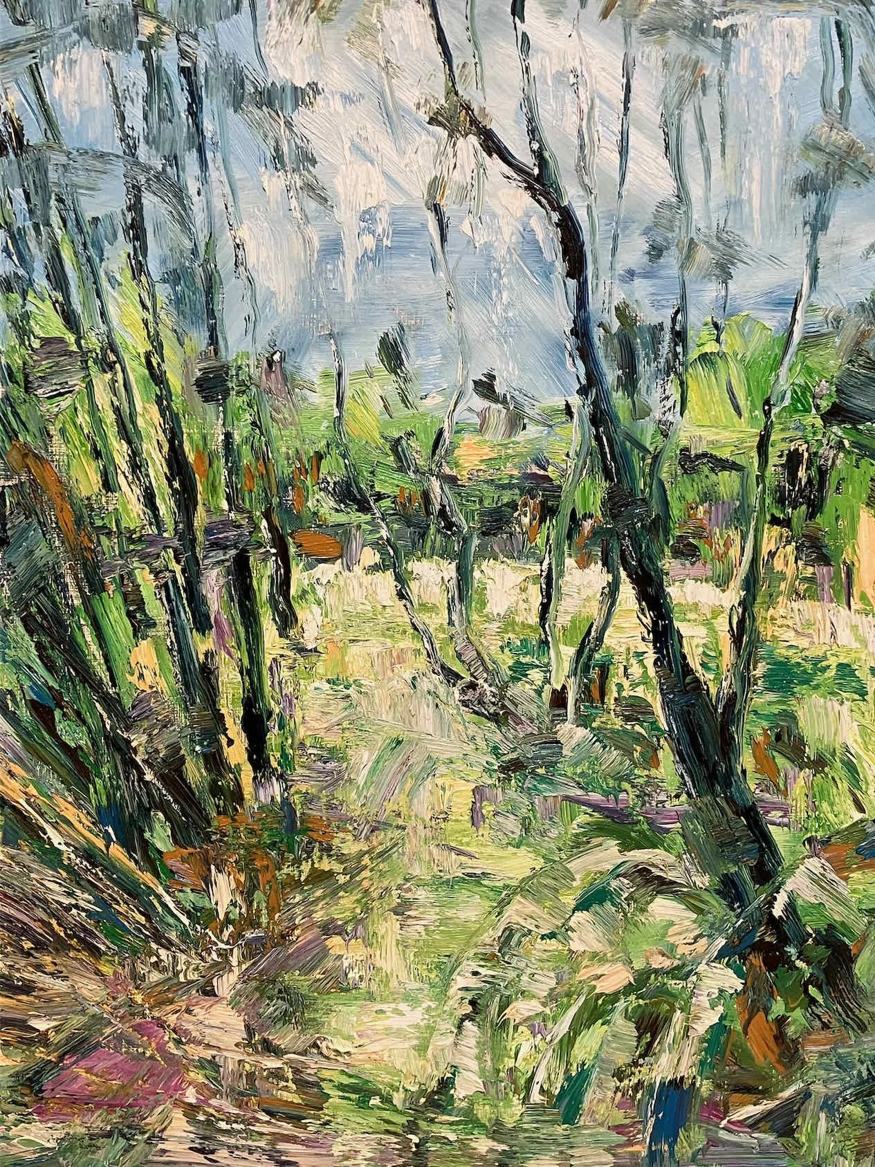   Kanuka Garden   oil on board   60×45cm    Enquire   